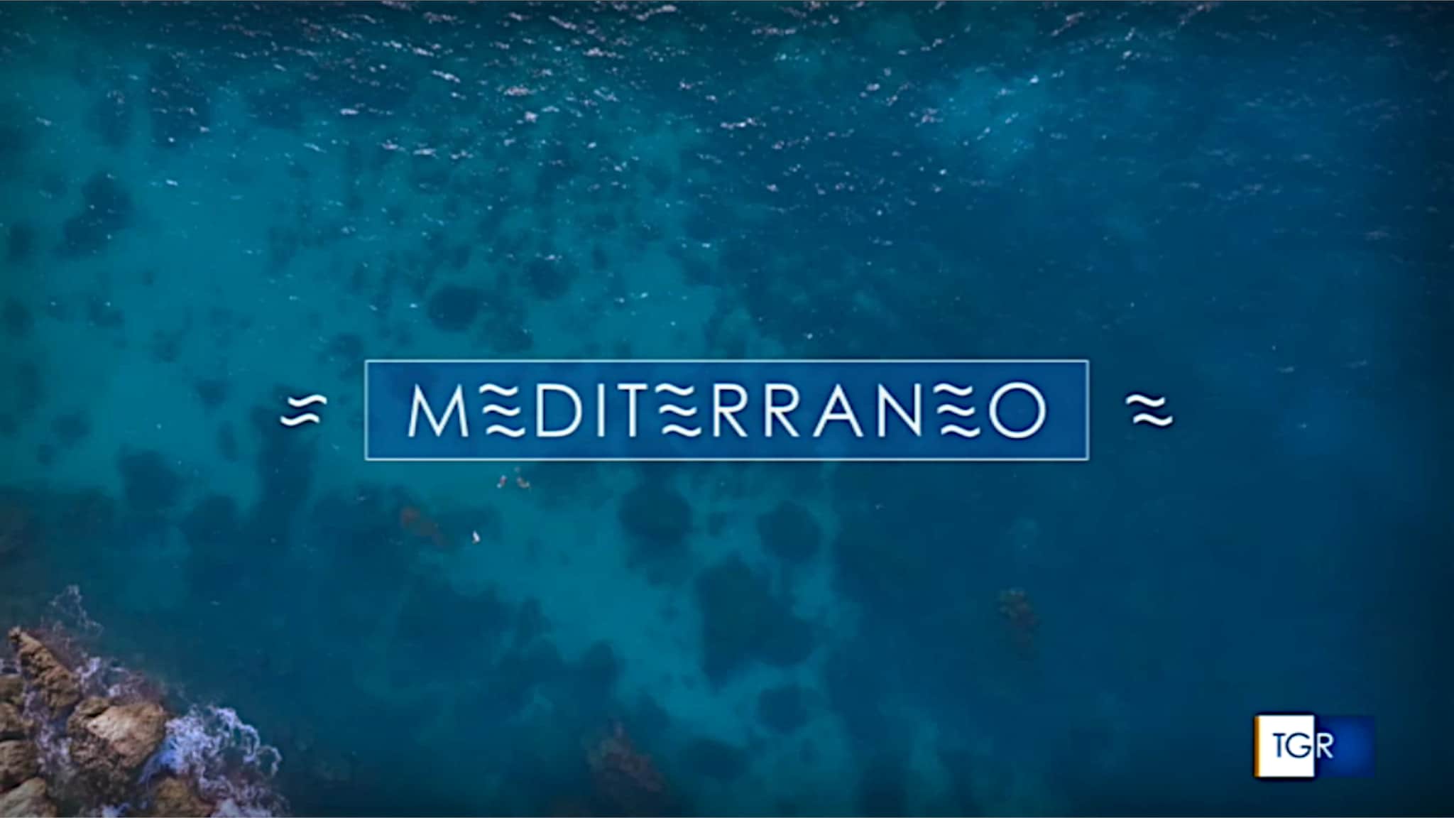 MEDITERRANEO