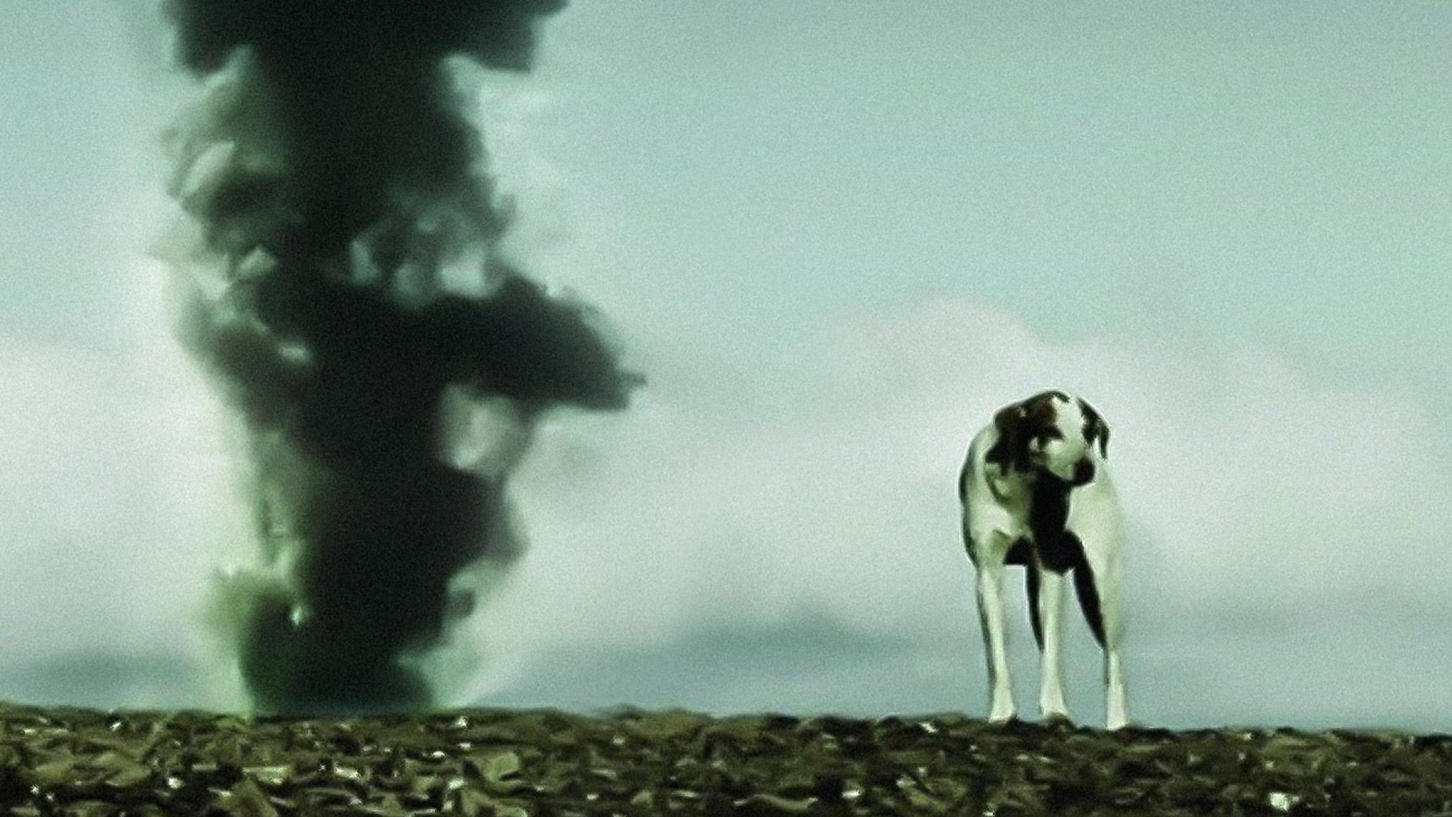 . Passepartout: La materia oscura