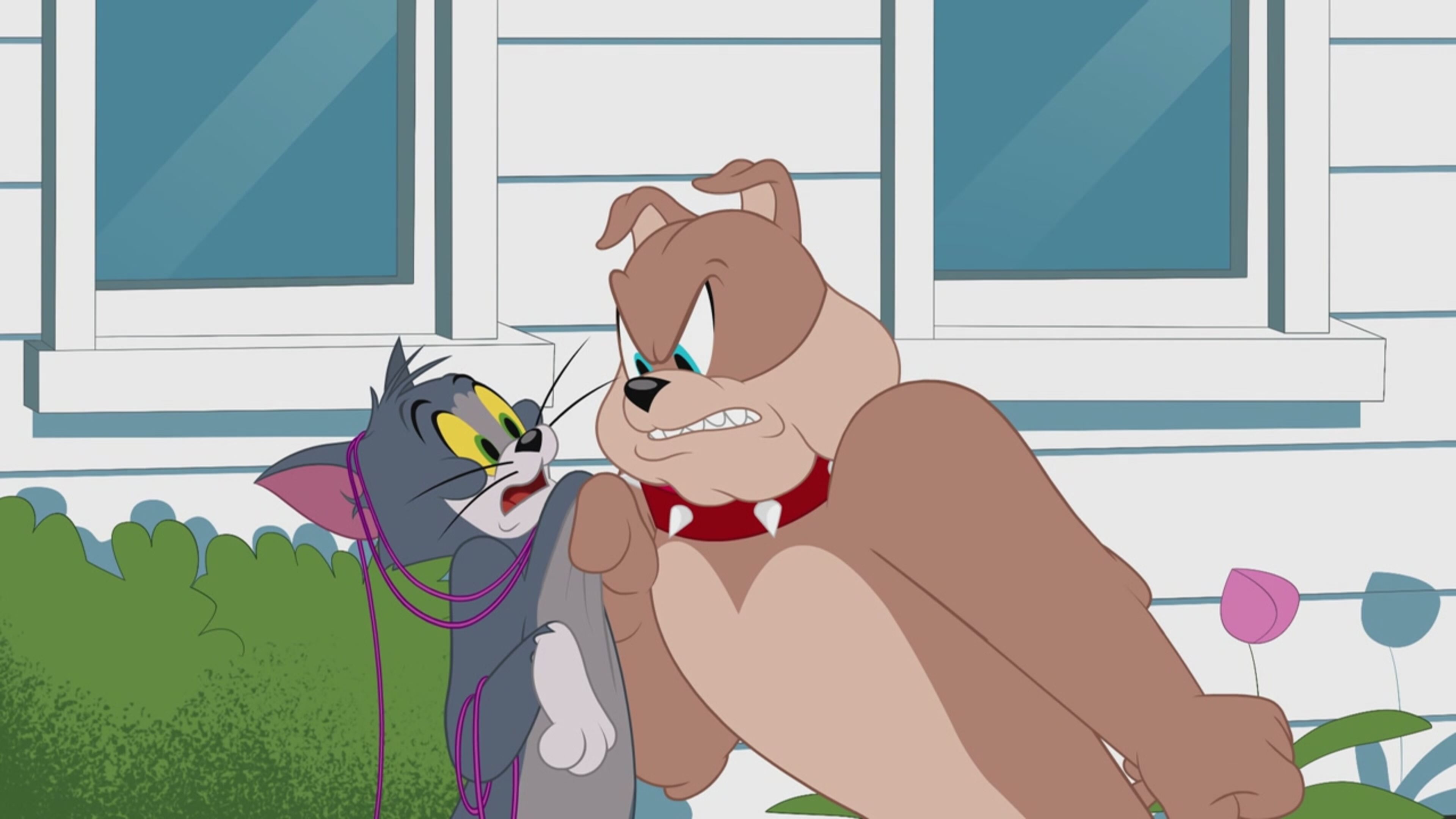 Tom  Jerry Show - S4 Ep.17 - Errore gatt-astrofico