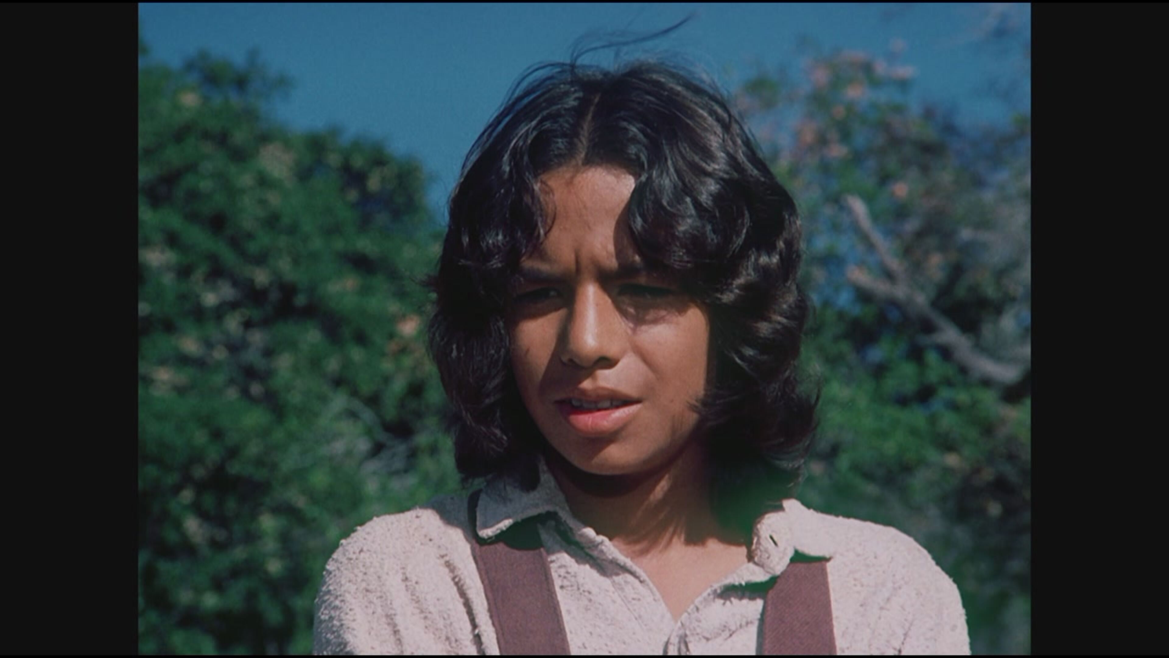 La casa nella prateria - Meticcio