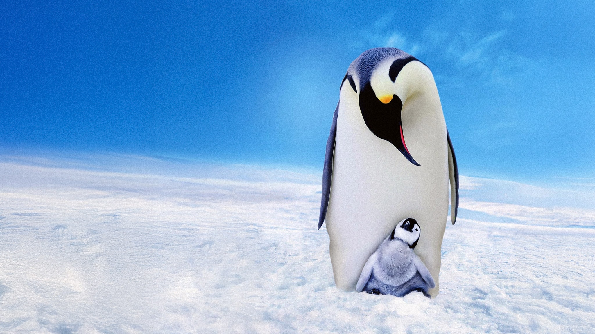 Pinguini - Una spia nel gruppo - S1E1 - Viaggio