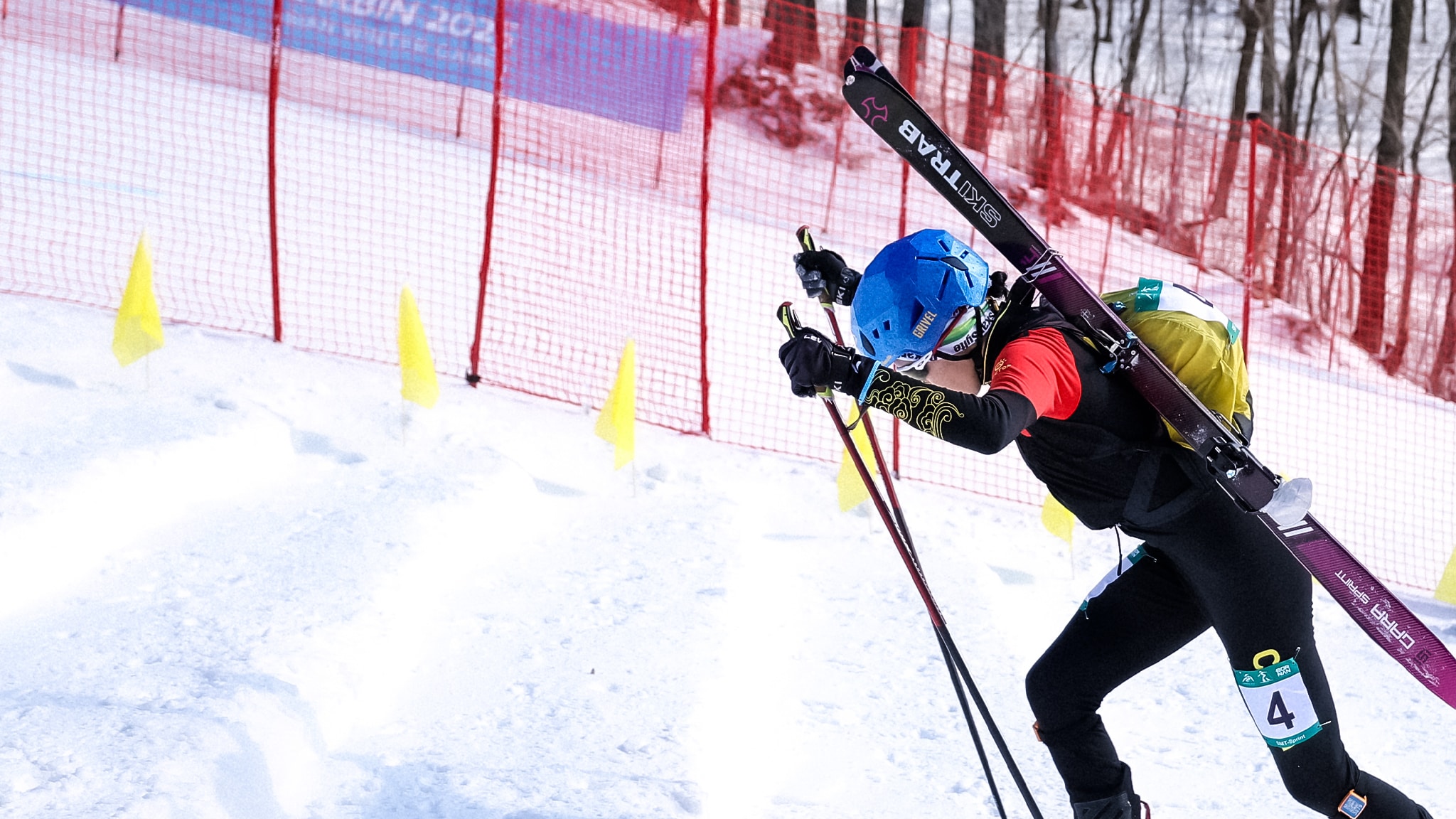 Telemark. Coppa del Mondo Carezza