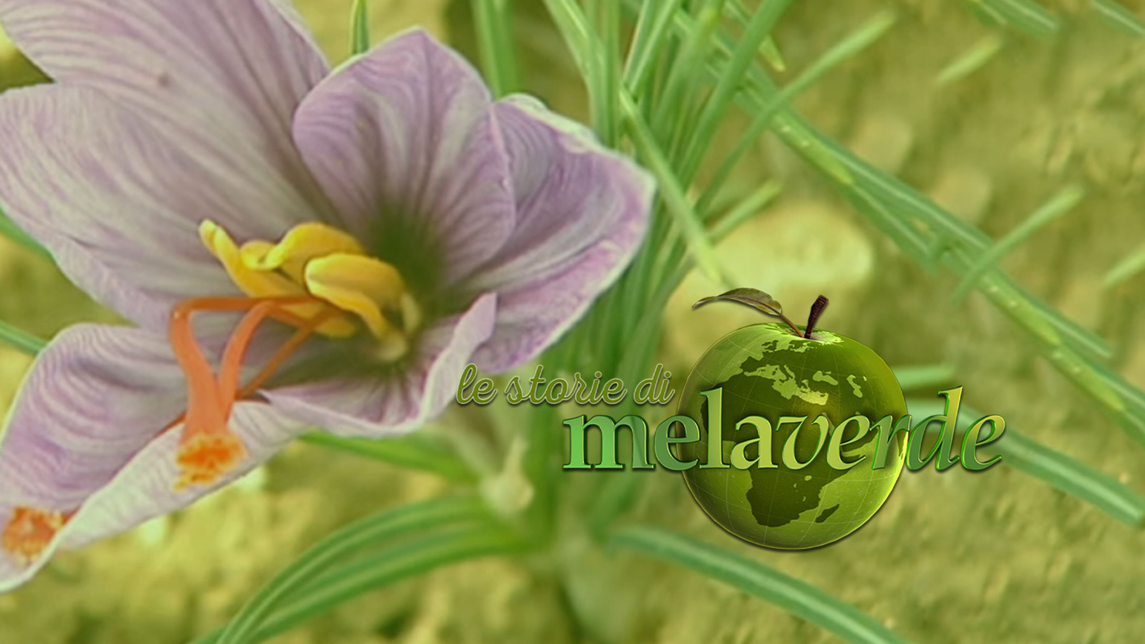 Melaverde - le storie (domenica)