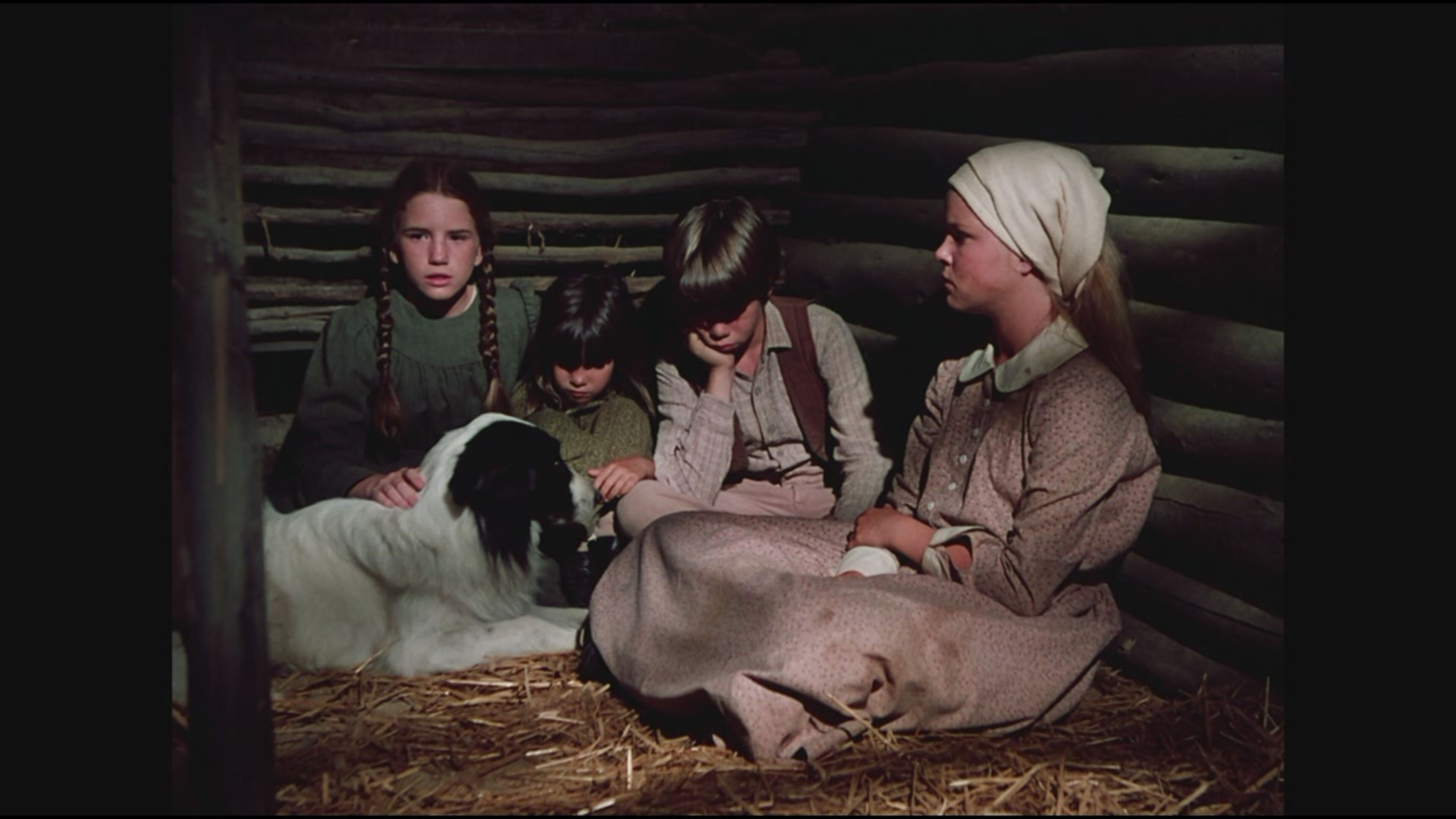 La casa nella prateria - Lupi