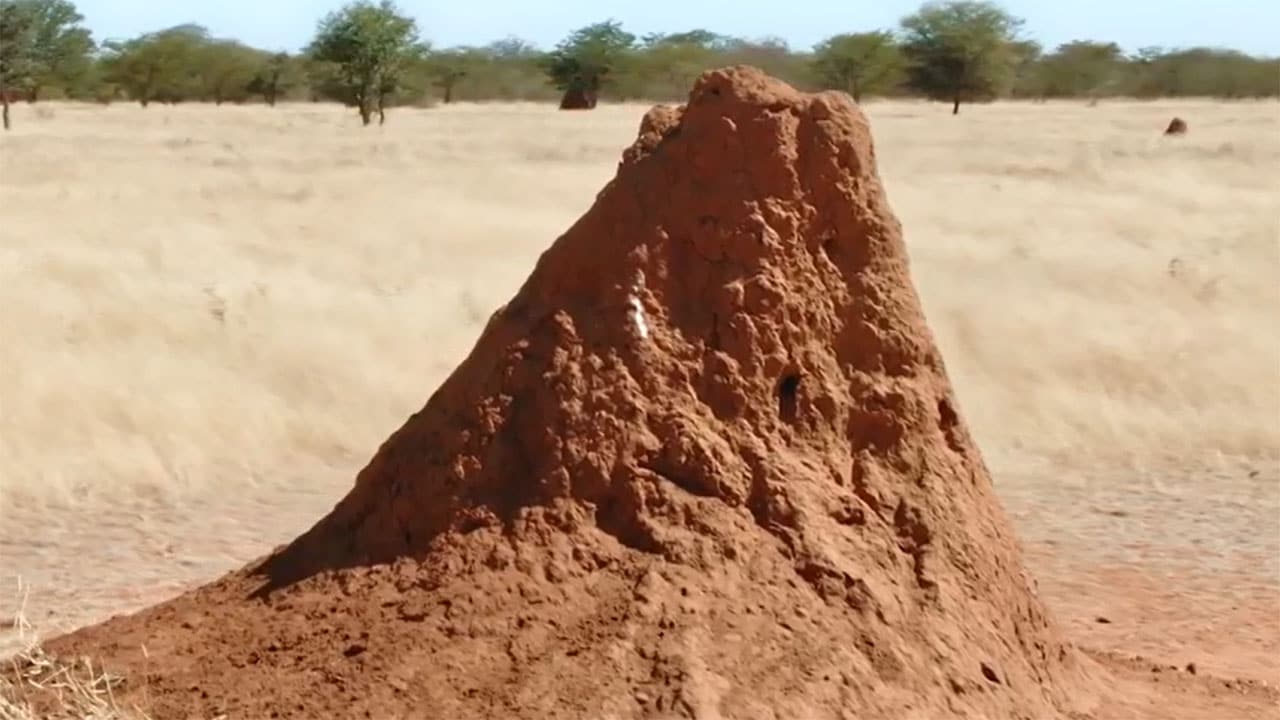 I segreti delle rocce -  S1E1 - Argilla, la roccia mutante