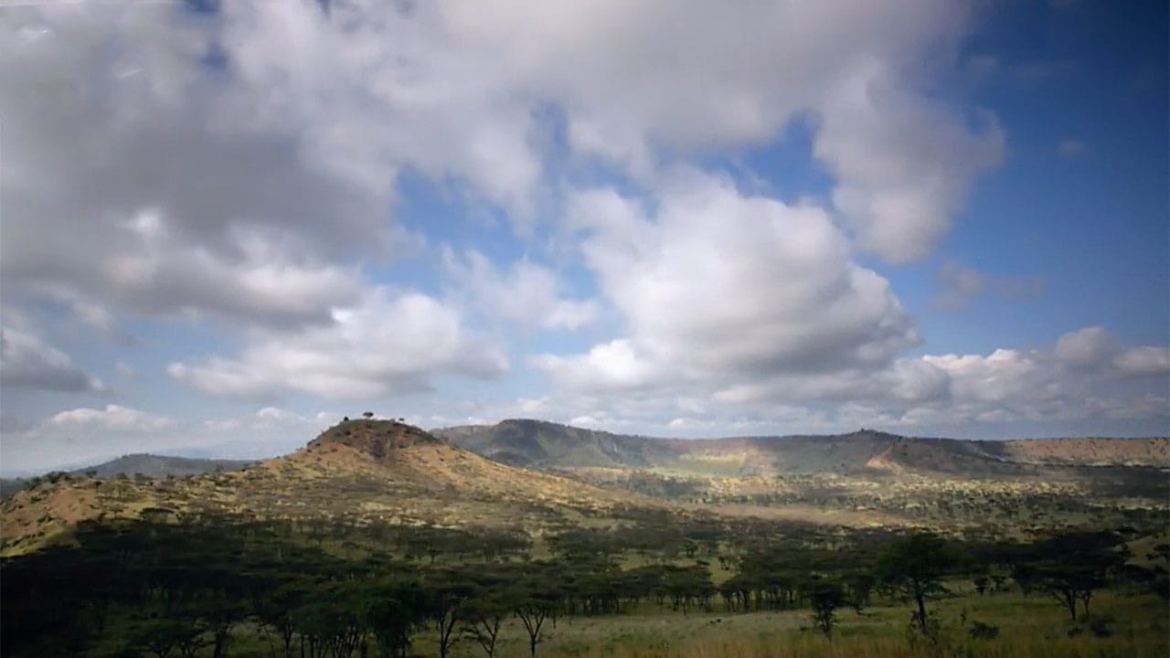 I meccanismi della natura - E2 - La prateria