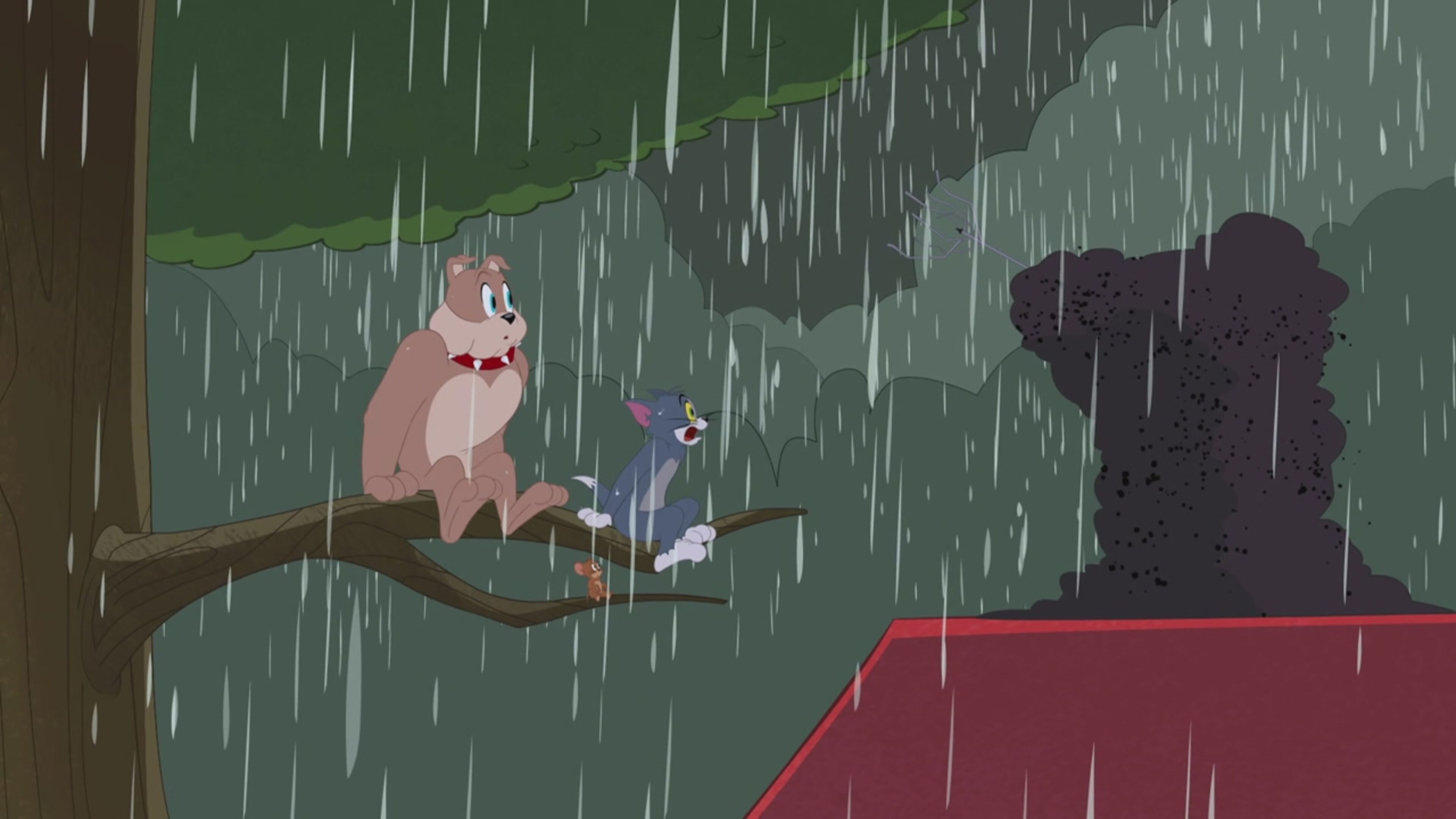 Tom  Jerry Show - S5 Ep.2 - L'esercito di ragni