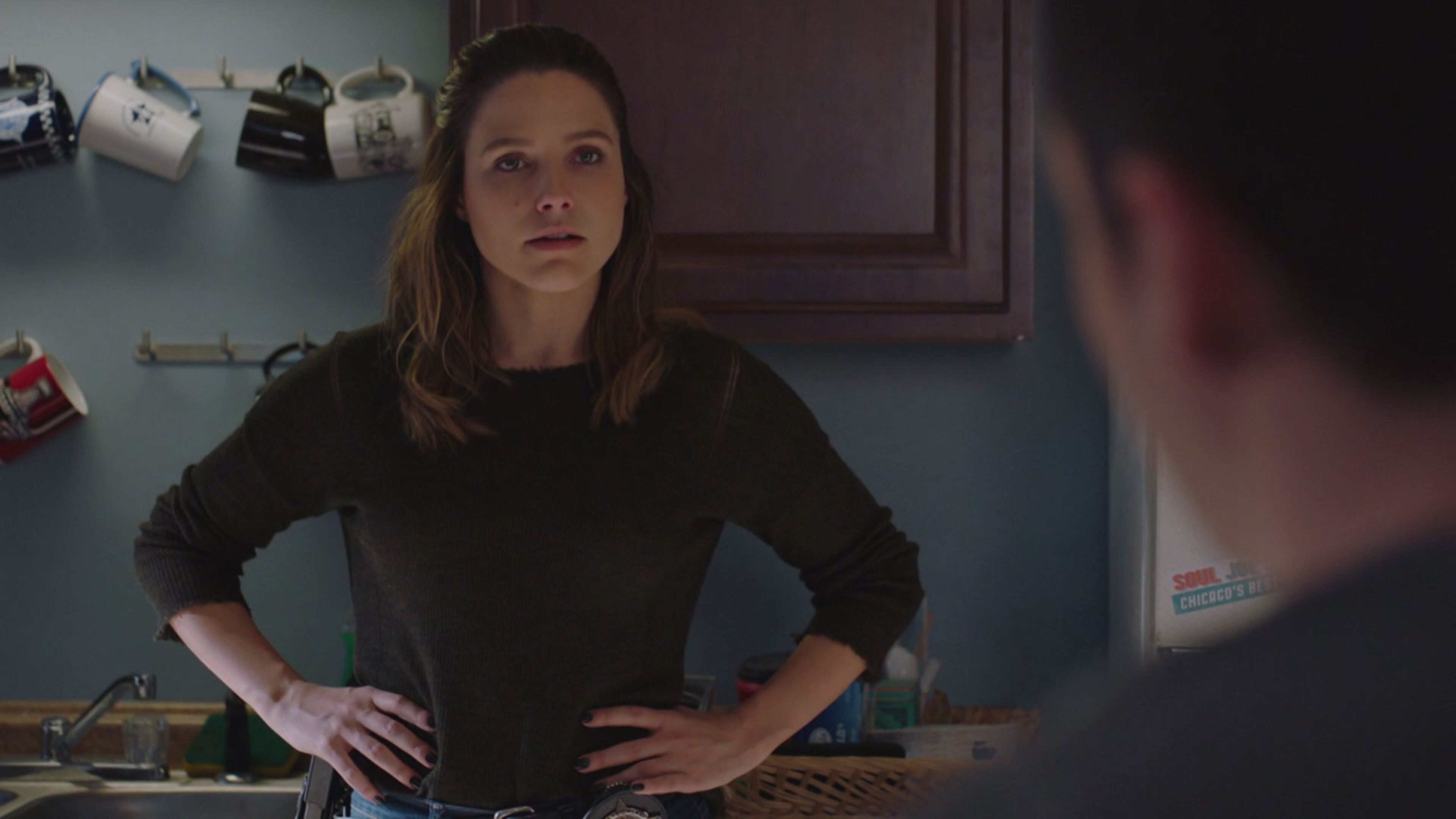 Chicago P.D. 4 - S4 Ep11 Ti piacerebbe