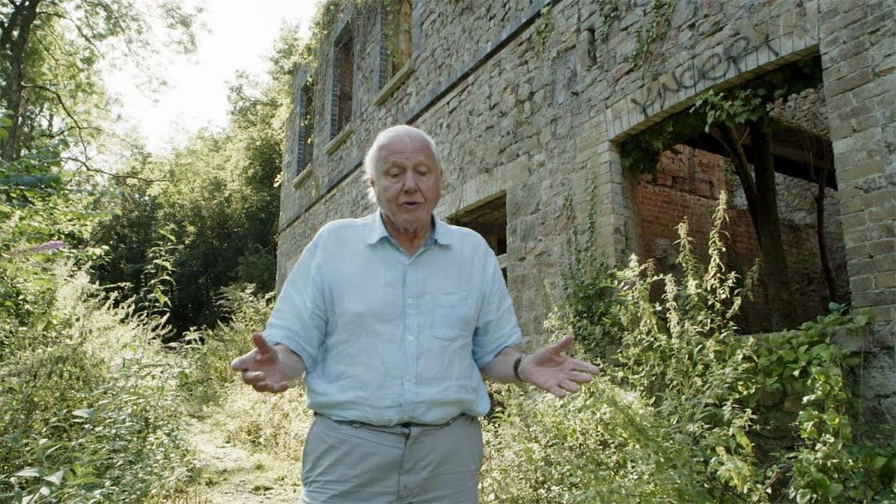 Il Pianeta Verde - S1E5 - L'uomo e la natura