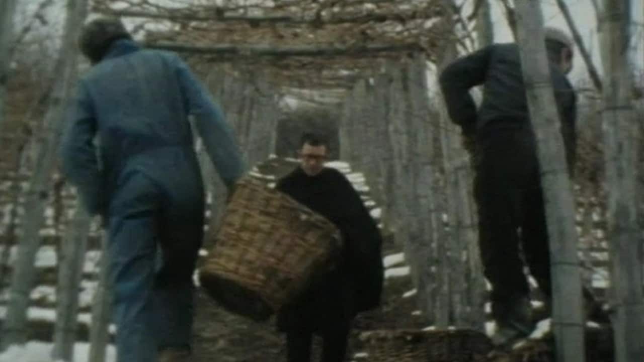 Viaggio sentimentale nell'Italia dei vini - Puntata del 21/04/1980