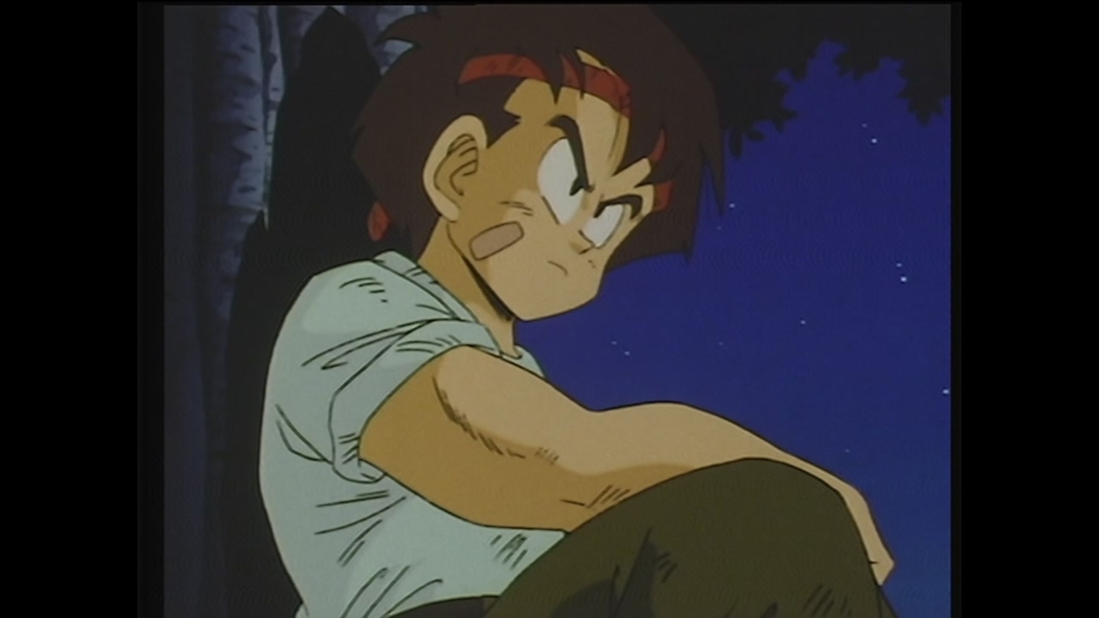 What's My Destiny Dragon Ball - S1 Ep16 Gohan torna a casa