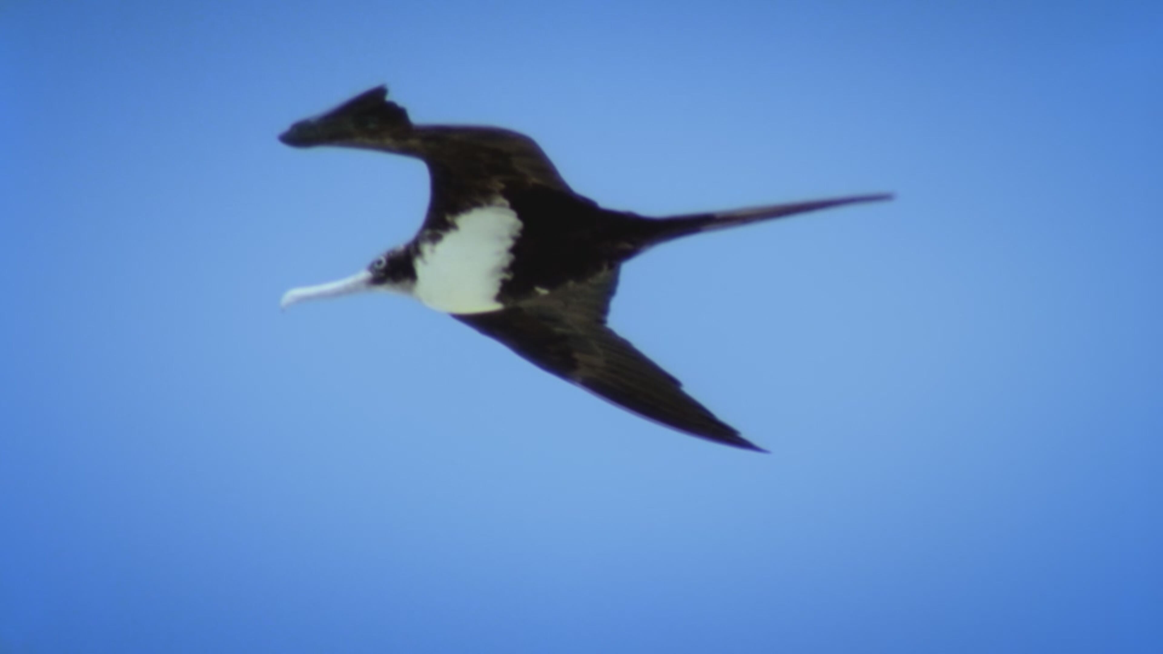 Natura in movimento - S1 Ep3