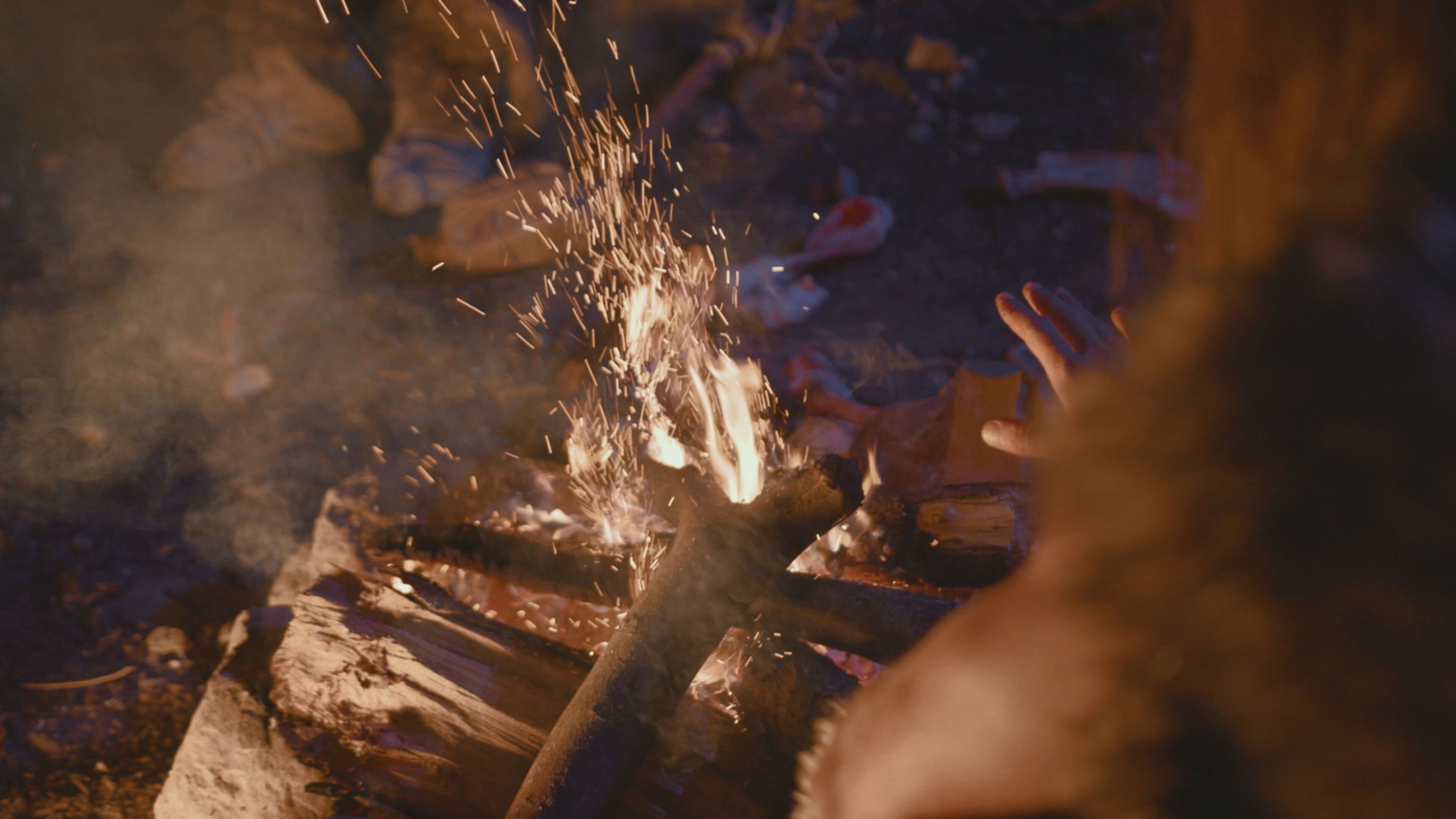 A tavola con l'uomo di Neanderthal - Regia di C. De Rouvre; FRA 2022