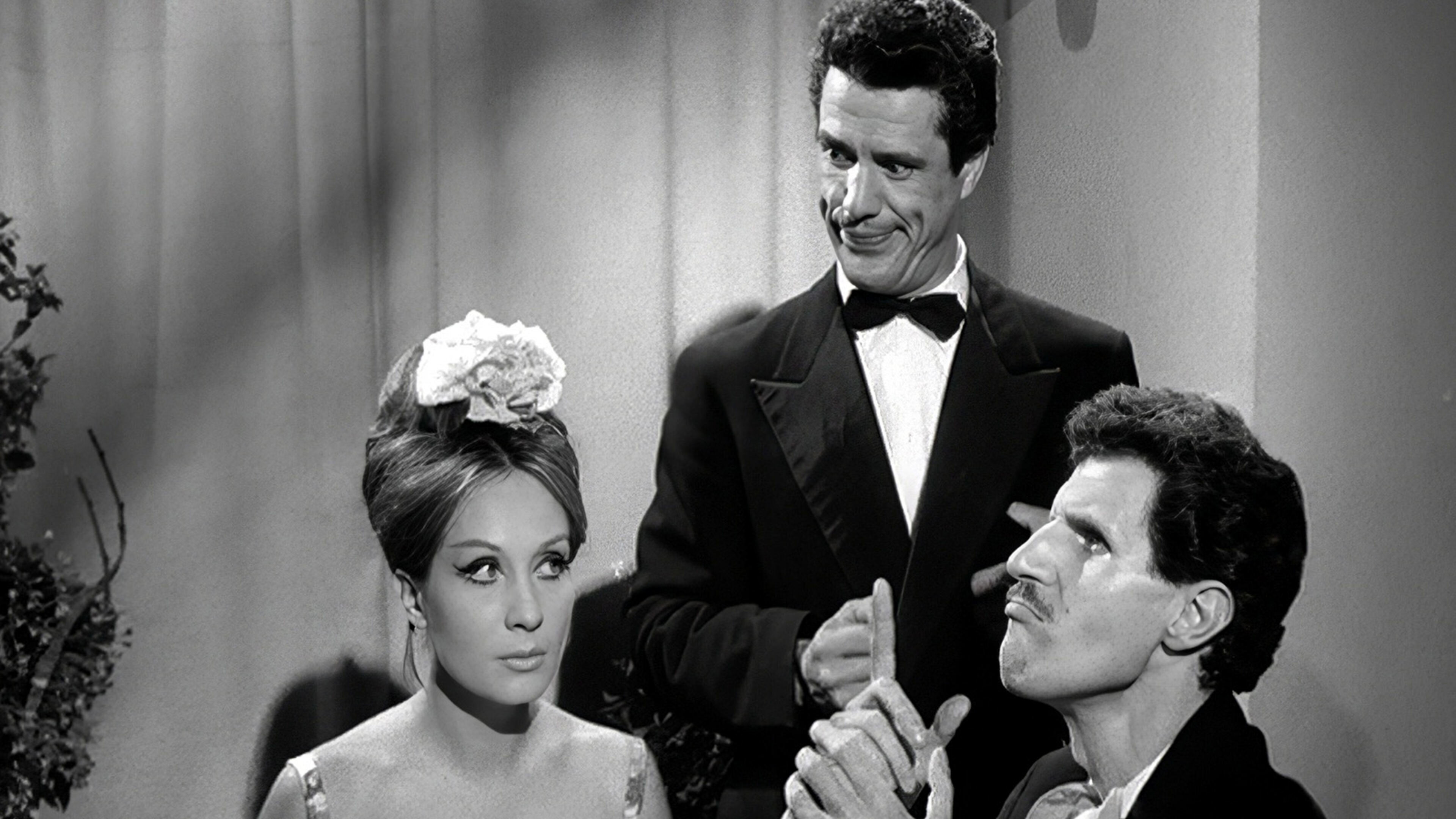 Canzoni, bulli e pupe