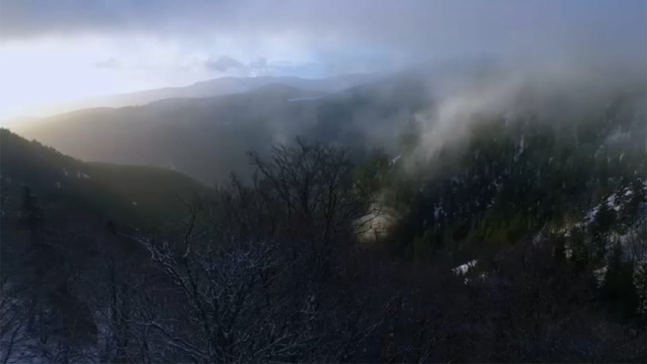 L'uomo dei boschi E2 - Nelle foreste dei Vosgi
