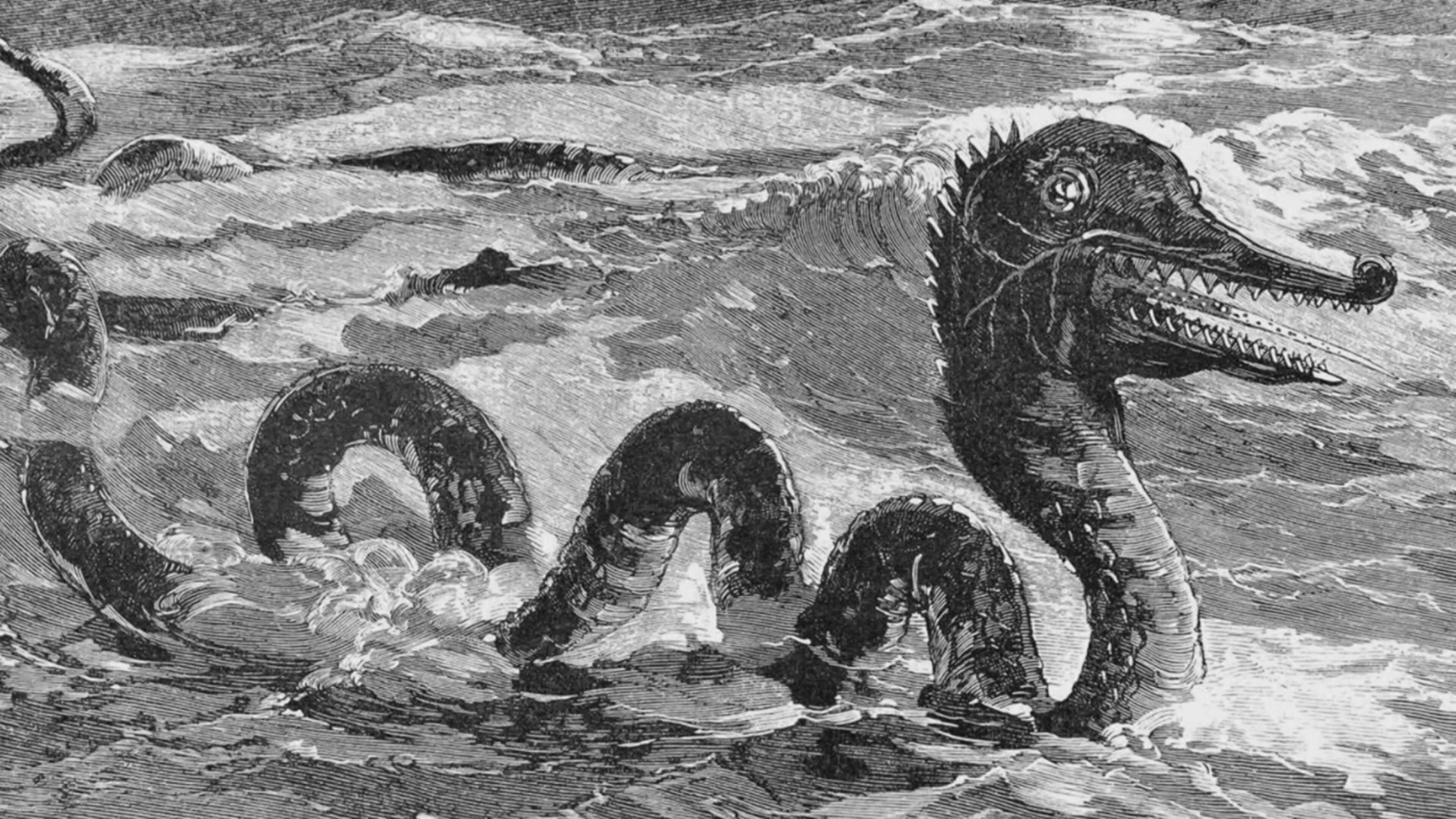 Fuori le prove! - Indagini ai confini della realtà 4 - S4 Ep11