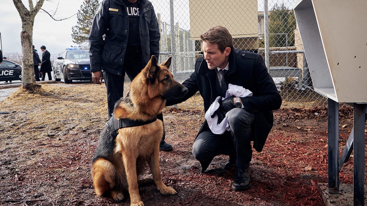 Hudson e Rex S1E9 - Alta tensione