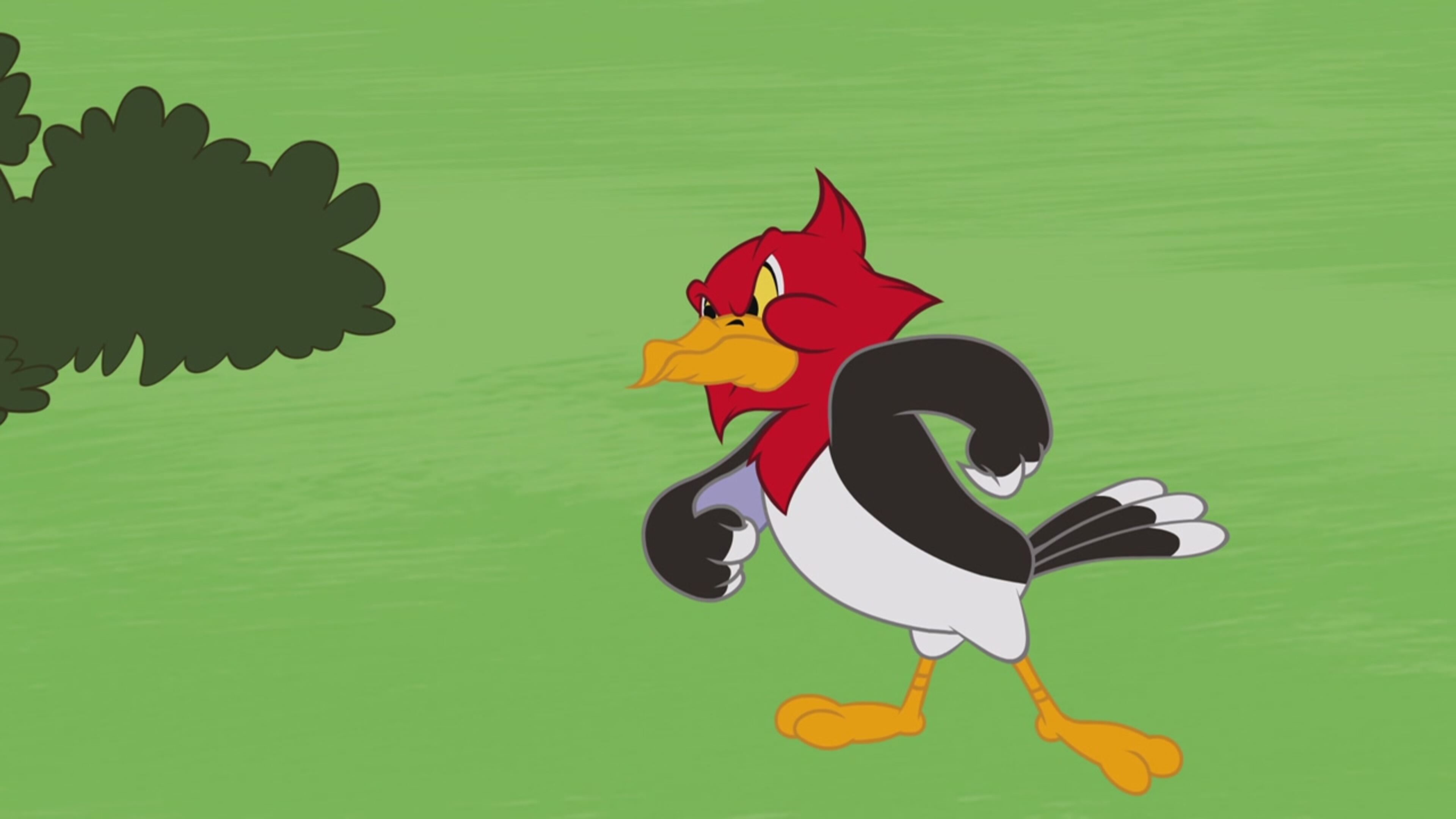 Tom  Jerry Show - S4 Ep.78 - Colla attaccatutto