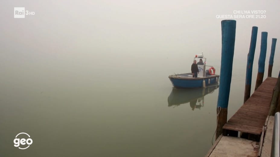 Fari nella nebbia - 14/10/2020