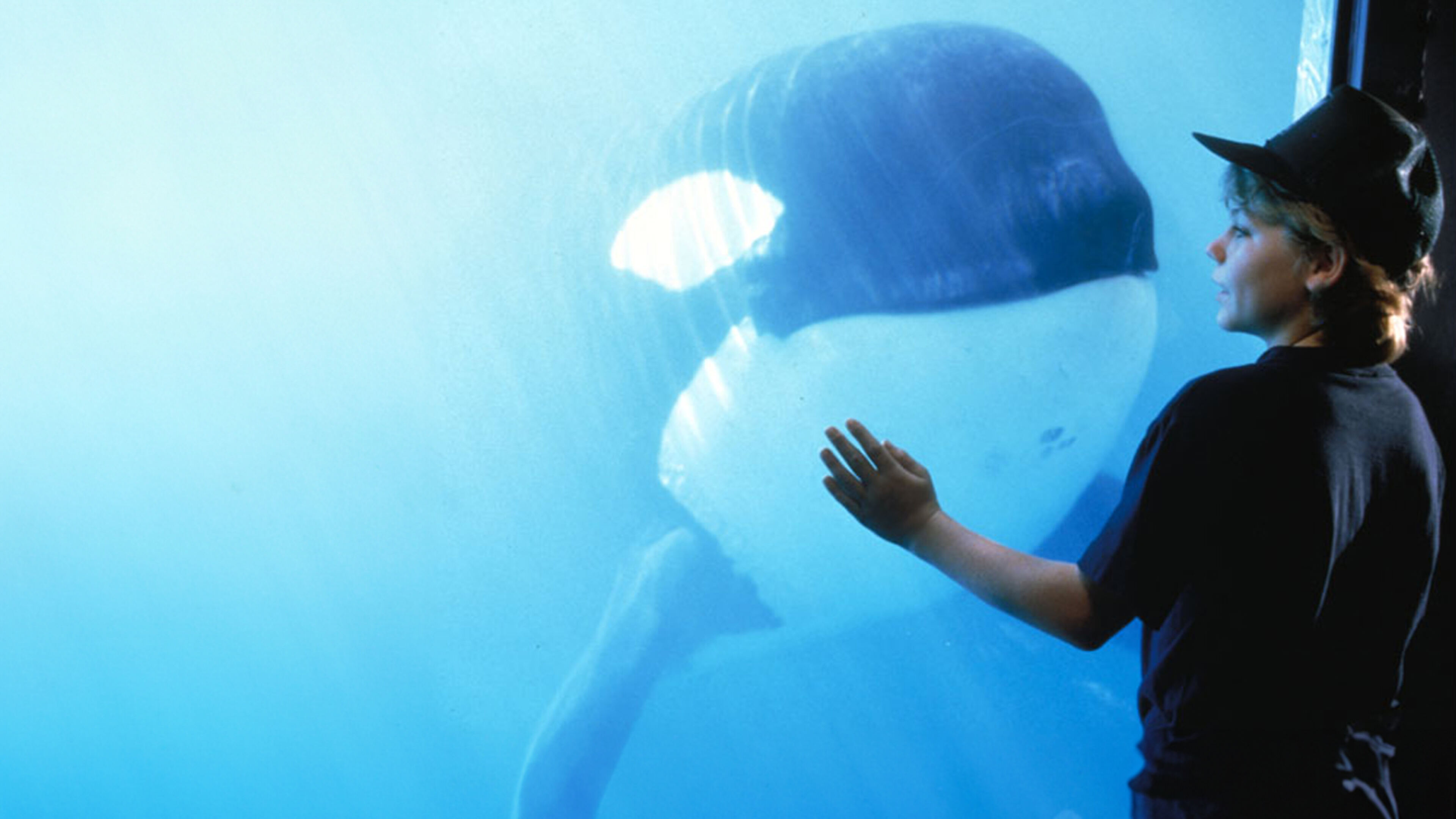 Free Willy - Un amico da salvare