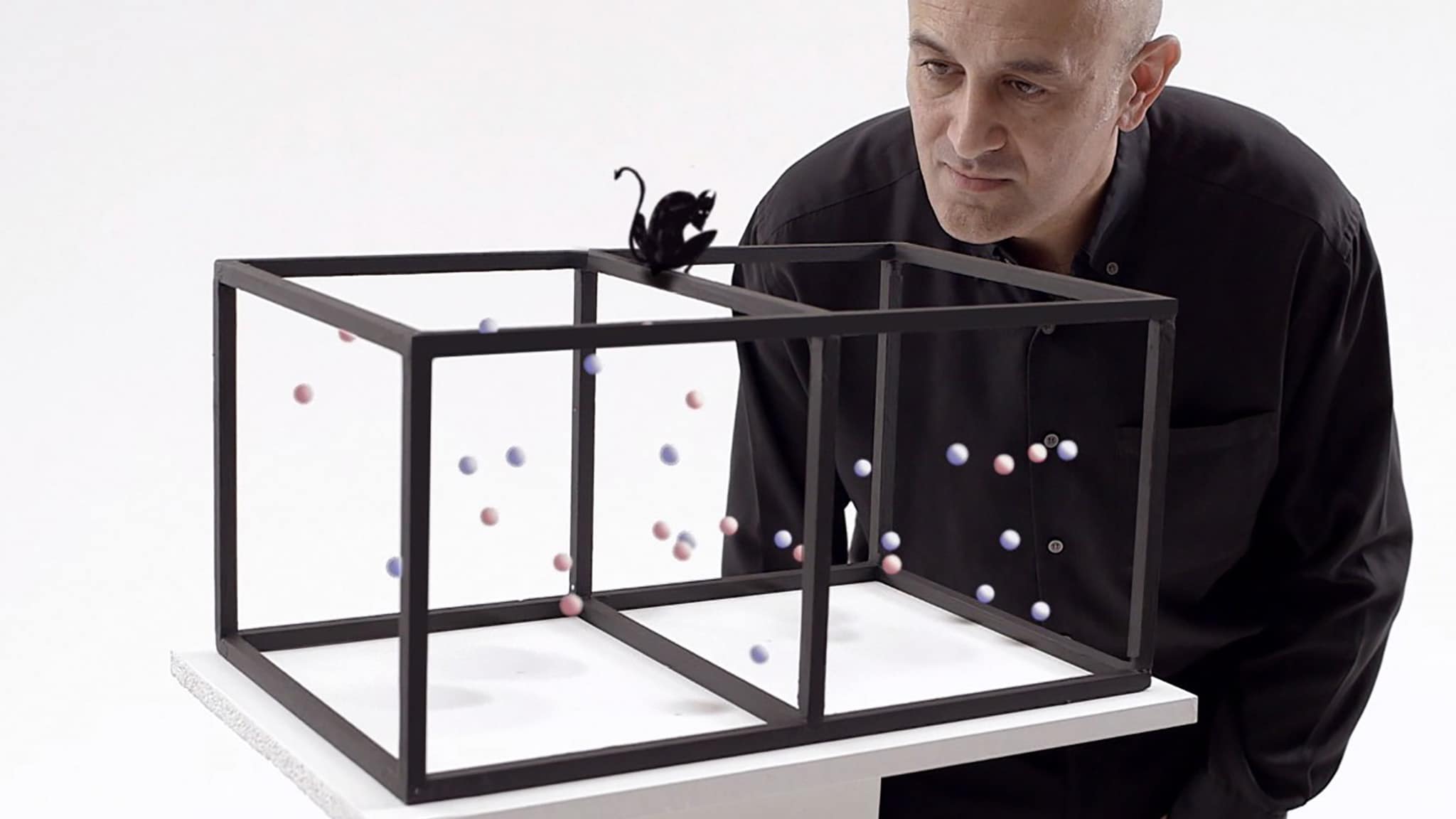 Ordine e Disordine Ep. 2 - L'informazion