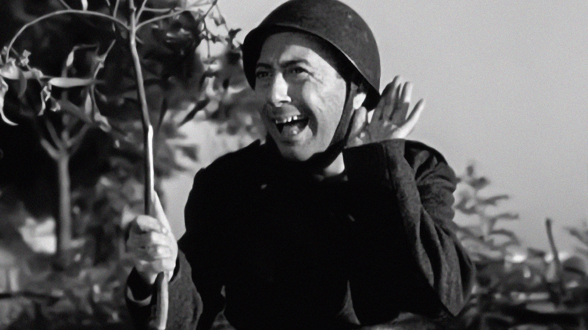 Come persi la guerra