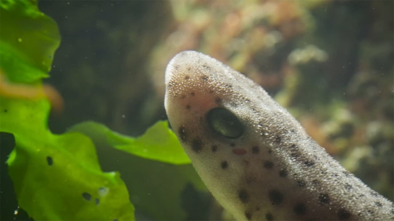 13 ore per sopravvivere - E1 - Intrappolati nella bassa marea