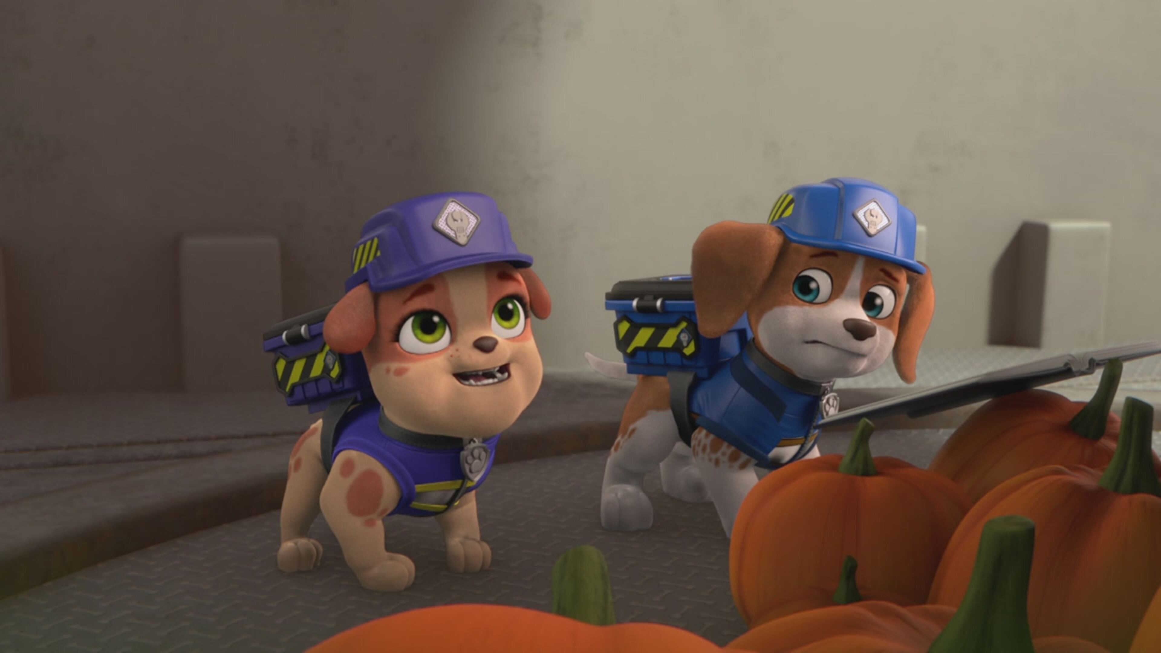 Rubble Crew - S1 Ep.16 - La squadra ripara una casa stregata / La squadra costruisce una casa per pipistrelli