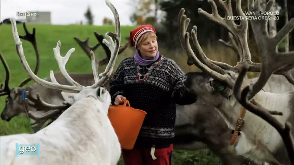 Insieme alle renne - Geo 19/12/2023 - Insieme alle renne - 19/12/2023