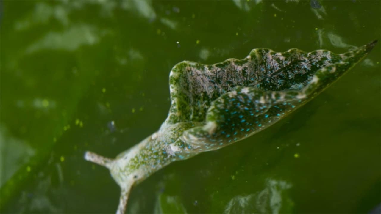 13 ore per sopravvivere - E2 - Fuga negli abissi