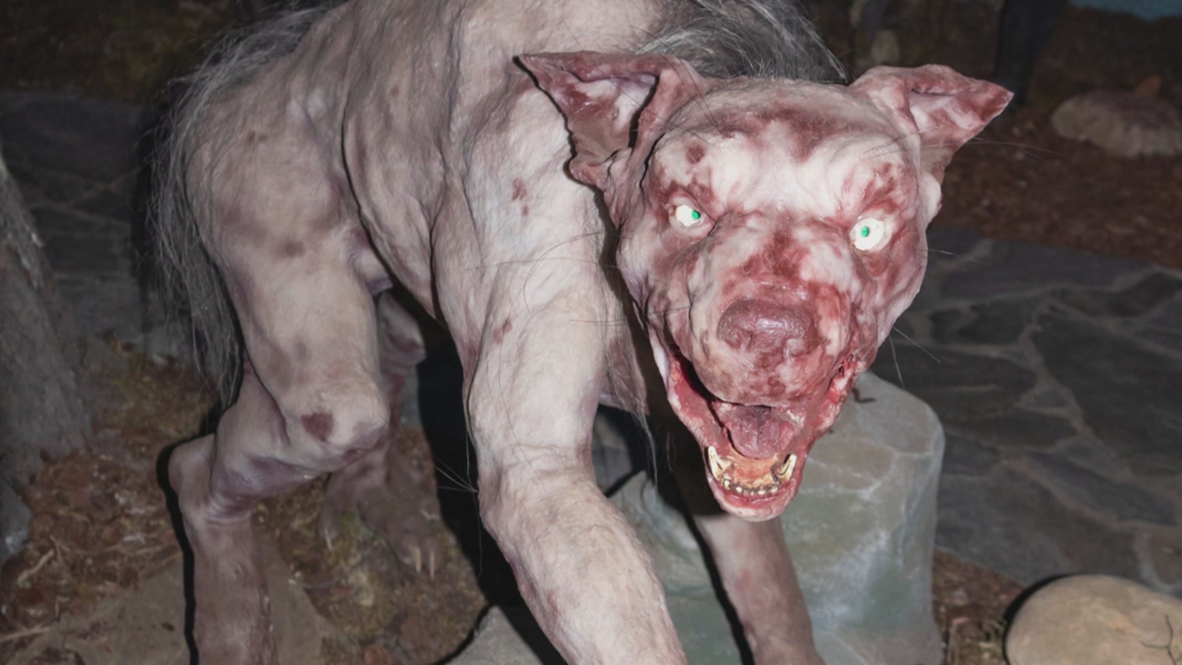 Fuori le prove! - Indagini ai confini della realtà 3 - S1 Ep13