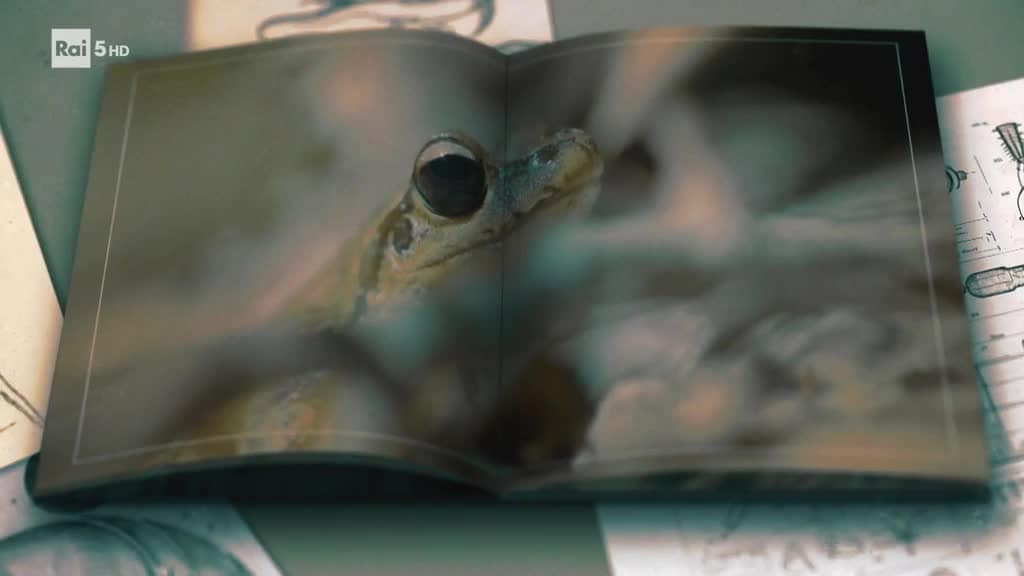 Evolution - Il viaggio di Darwin Puntata