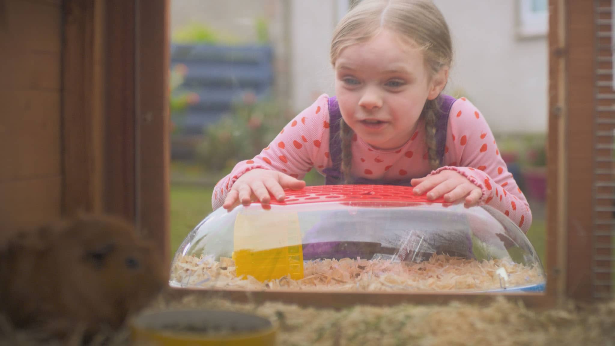 Olga da Polga - S1E11 - Nuovi arrivi