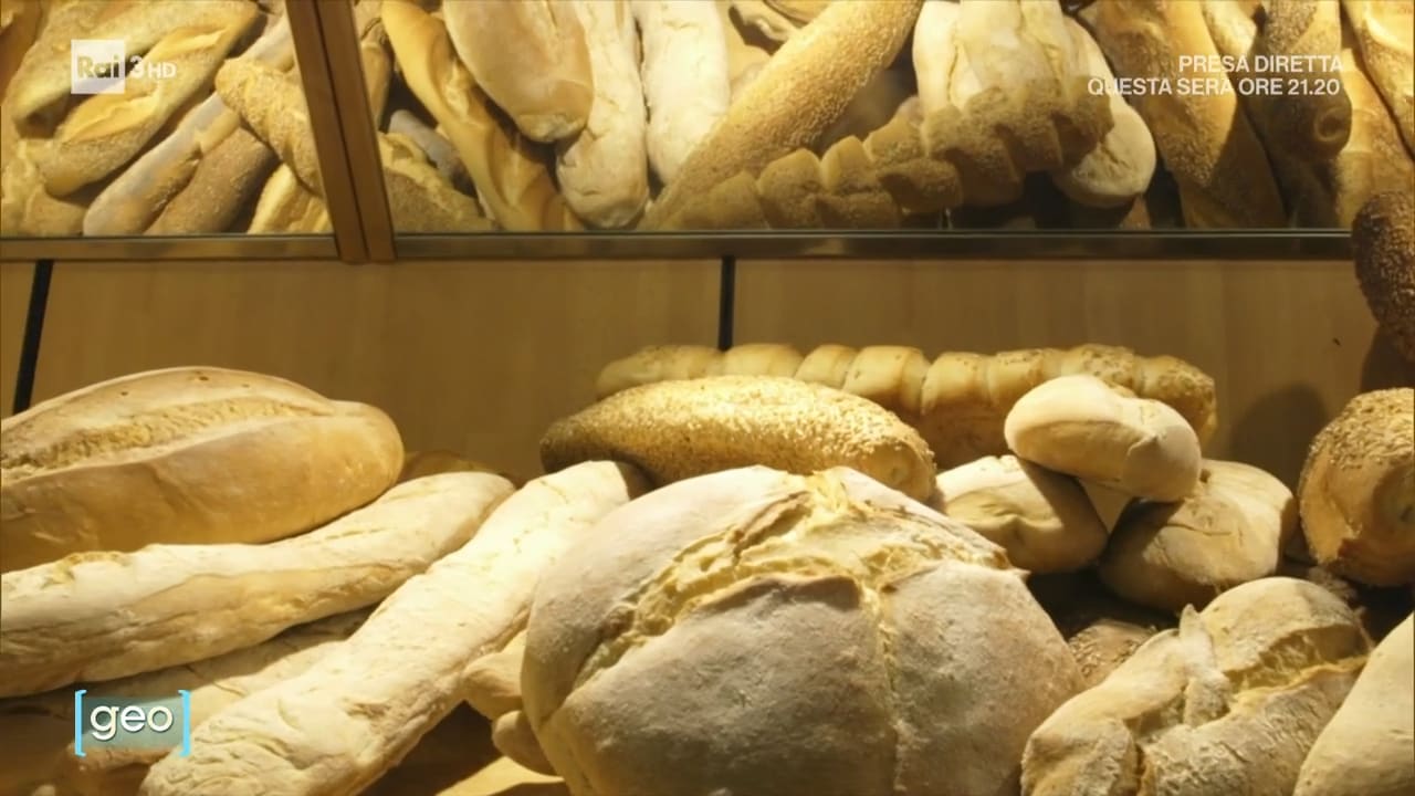 Pane e... - Geo 06/03/2023 - Pane e... - 06/03/2023