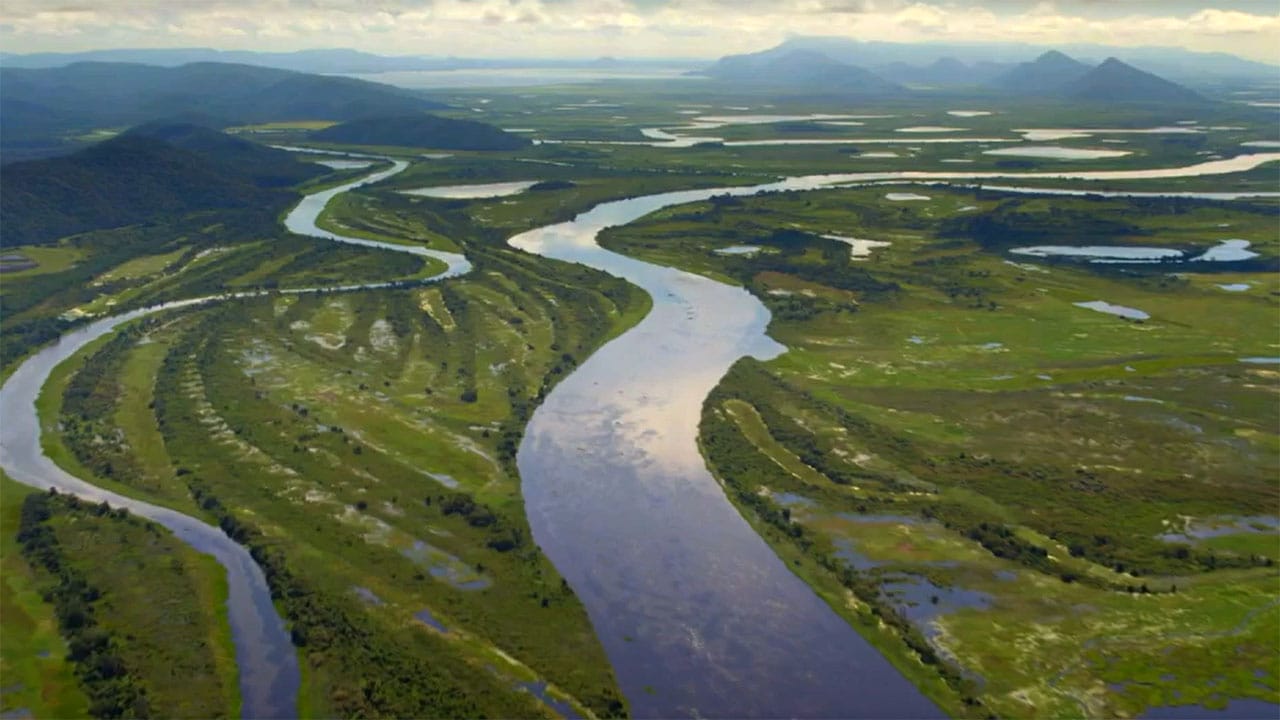Paradisi da salvare - S1E10 Pantanal, il Brasile  Selvaggio