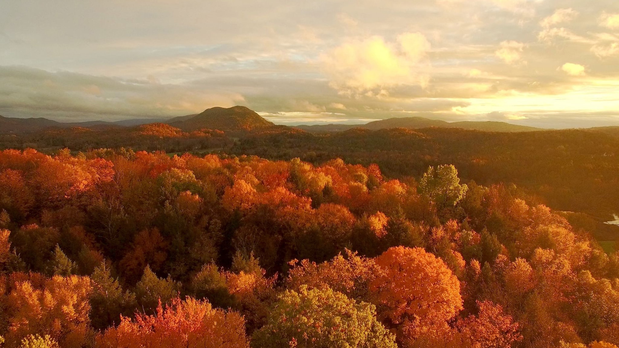 Evolution - America's Wild Seasons S1E1 - Primavera