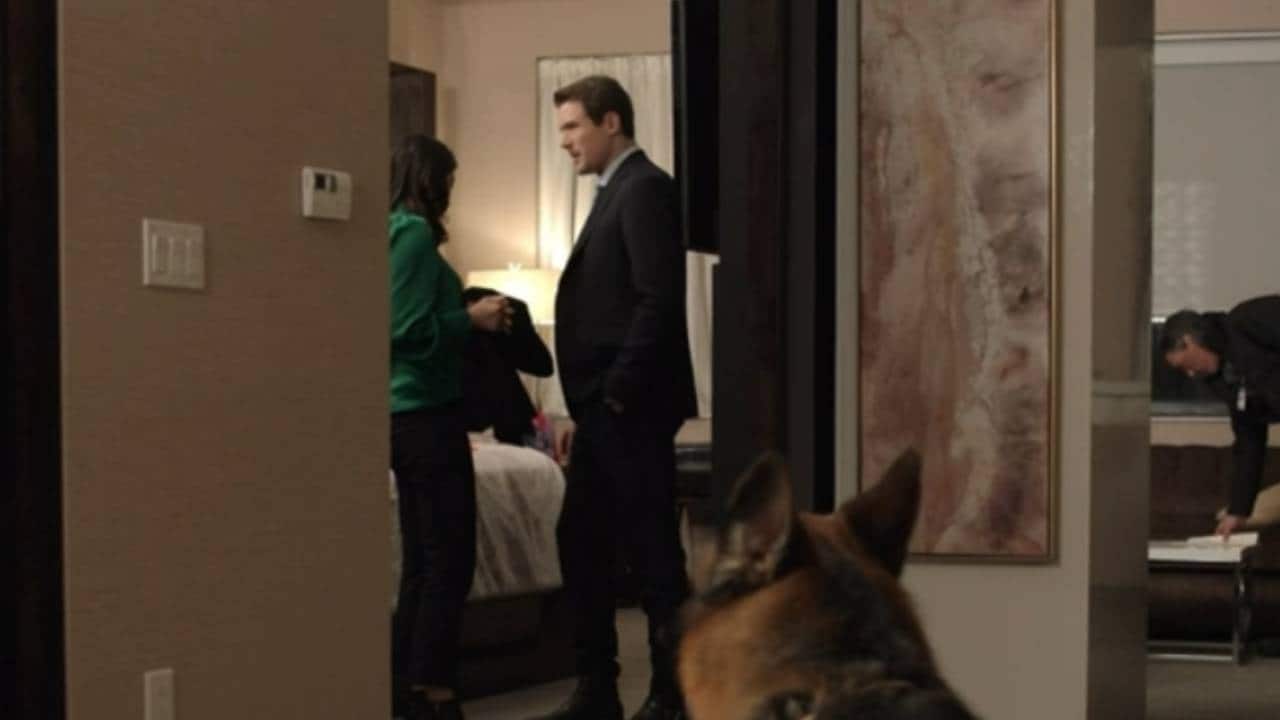 Hudson  Rex - S2E14 - La tela del ragno