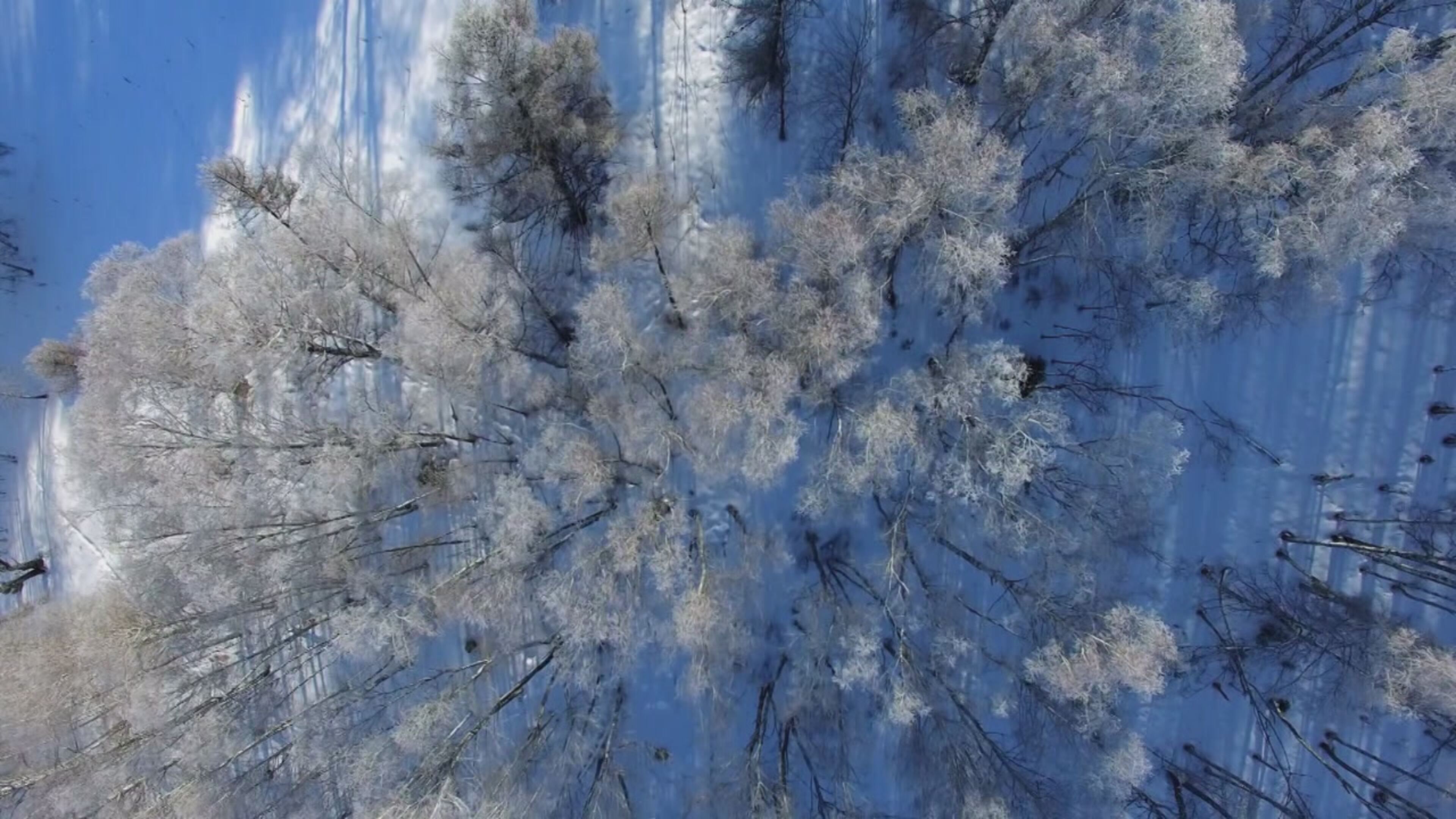 Cose di questo mondo - S3 Ep16 Inferno siberiano