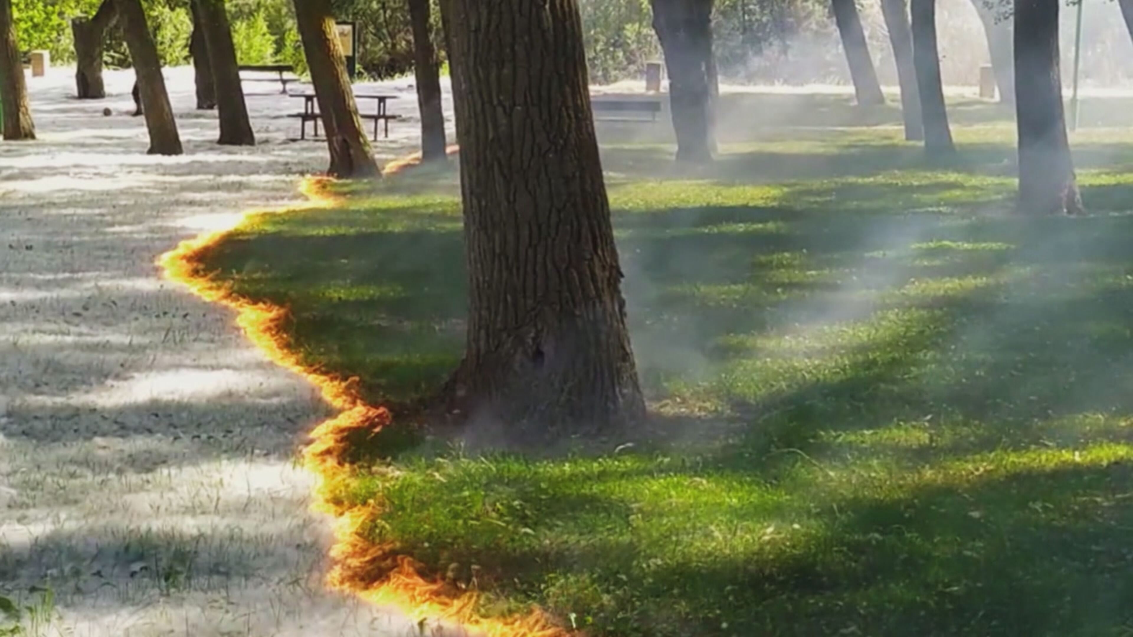 Fuori le prove! - Indagini ai confini della realtà 2 - S2 Ep8