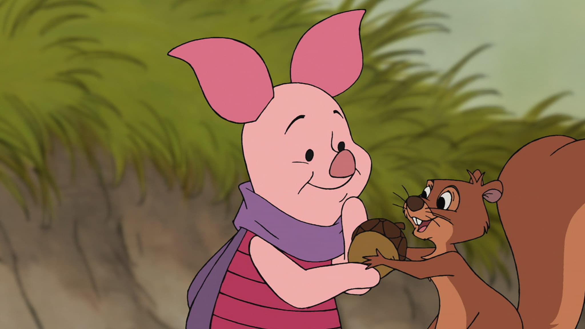 Pimpi, piccolo grande eroe