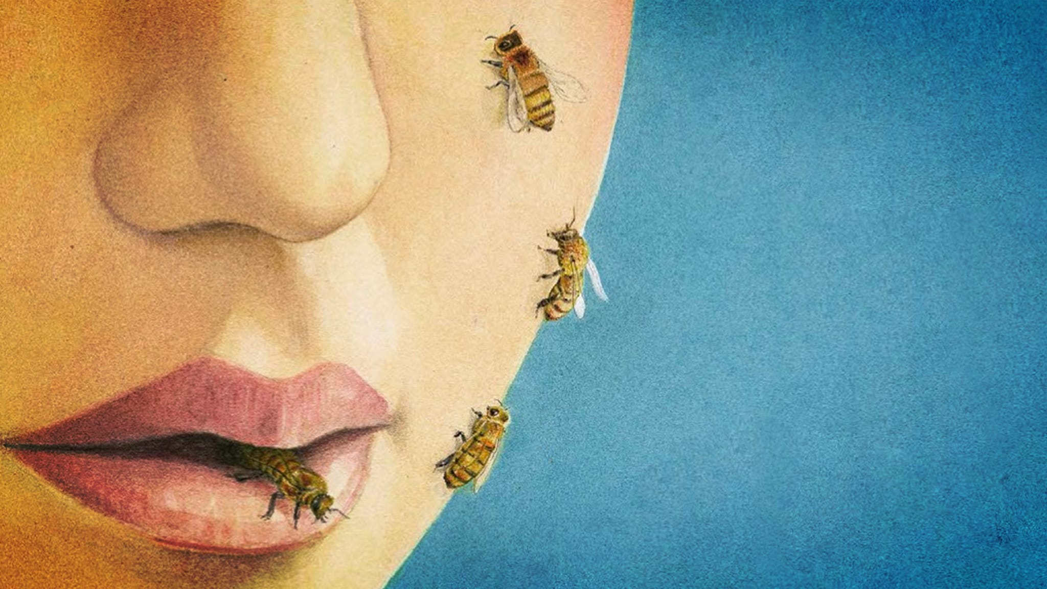 Evolution - Le Meraviglie della Francia