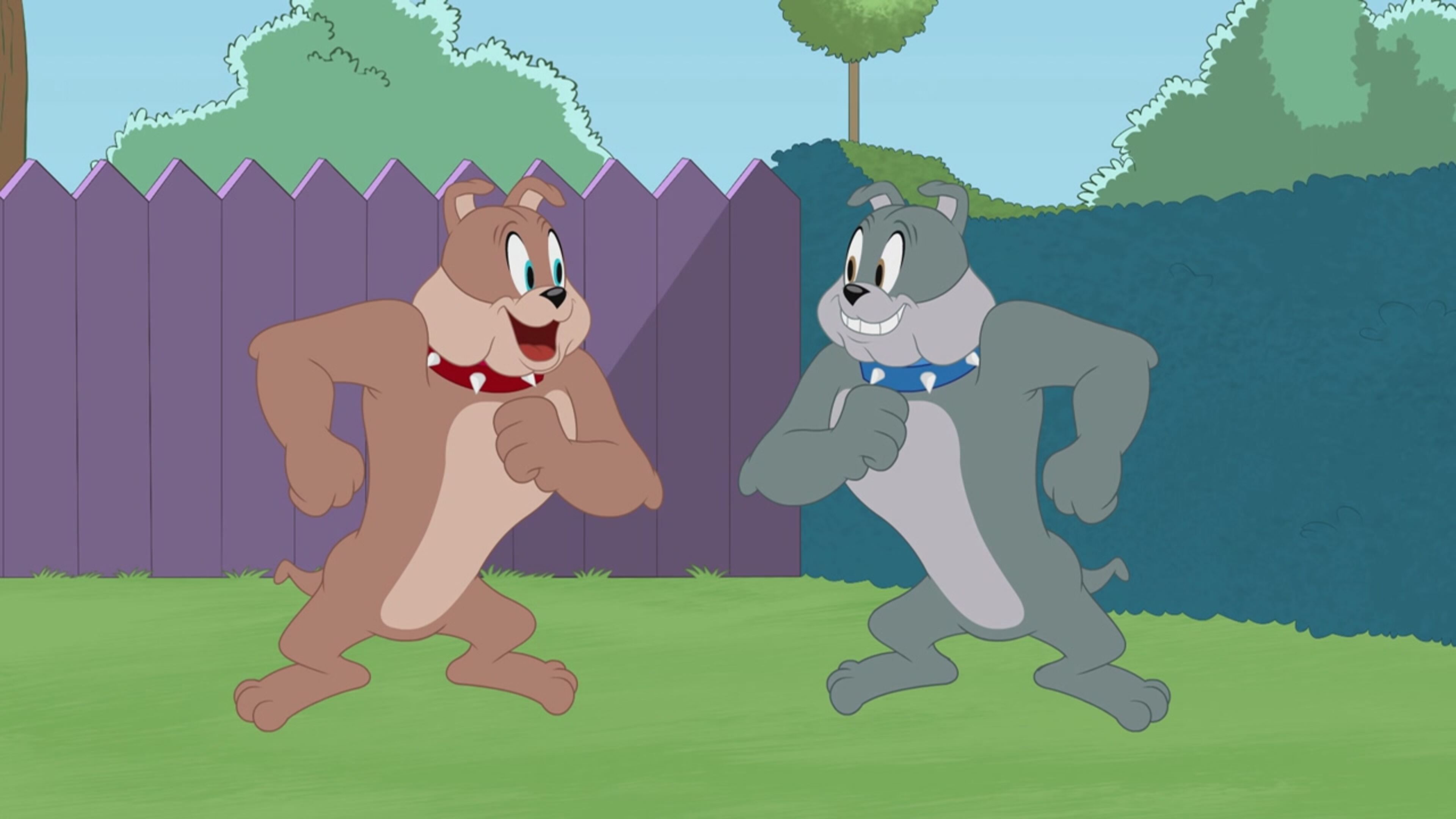The Tom and Jerry Show - S4 Ep.46 - Spike e Mike