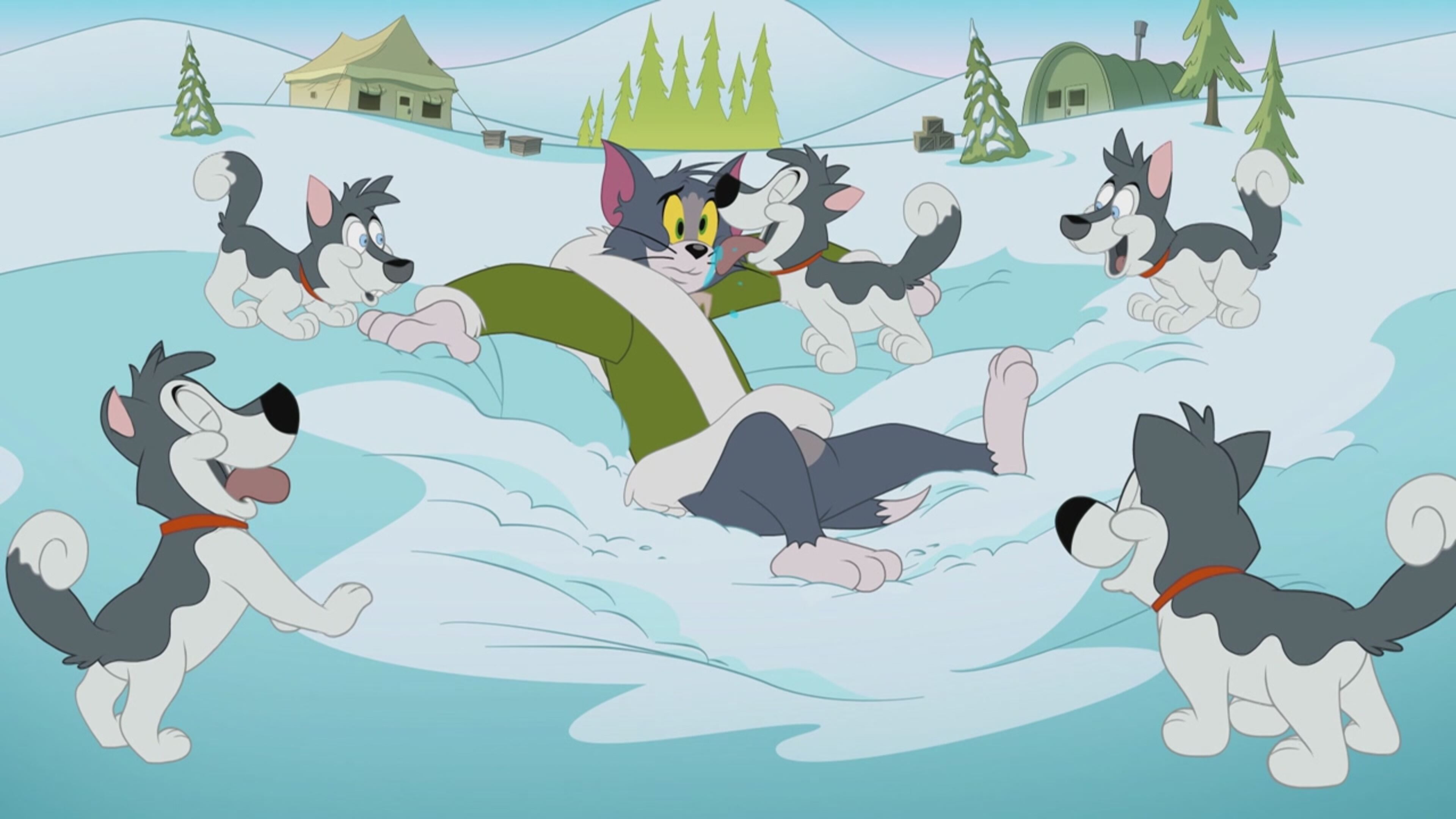 The Tom and Jerry Show - S4 Ep.47 - Un cane da salvare