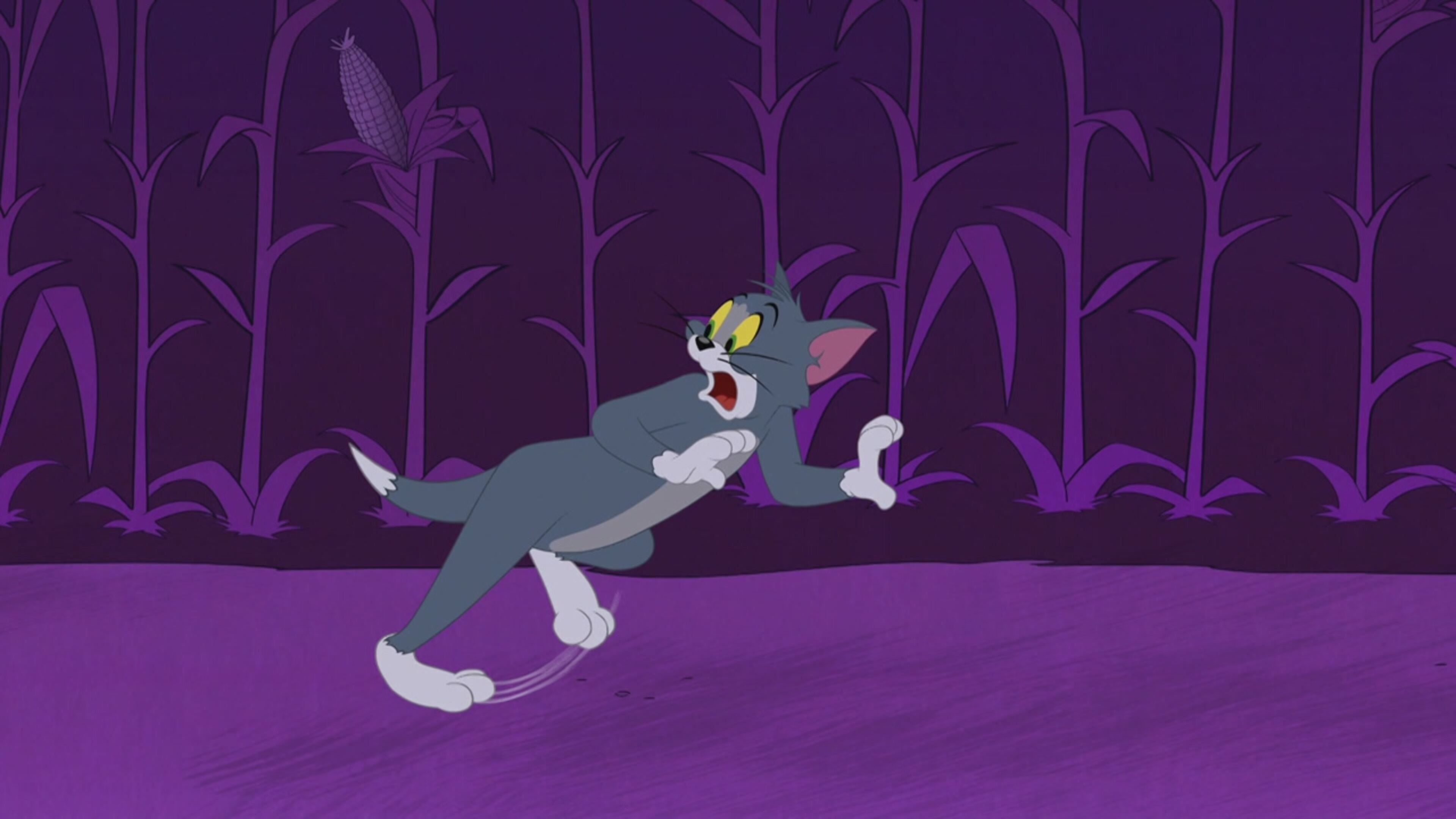 Tom  Jerry Show - S4 Ep.56 - Ho perso la zucca