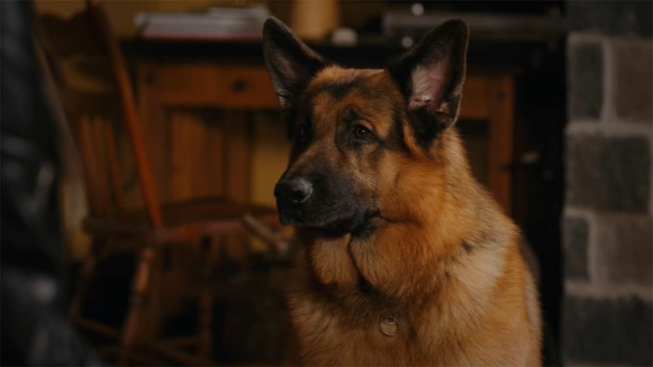 Hudson  Rex - S3E13 - La casa sulla collina