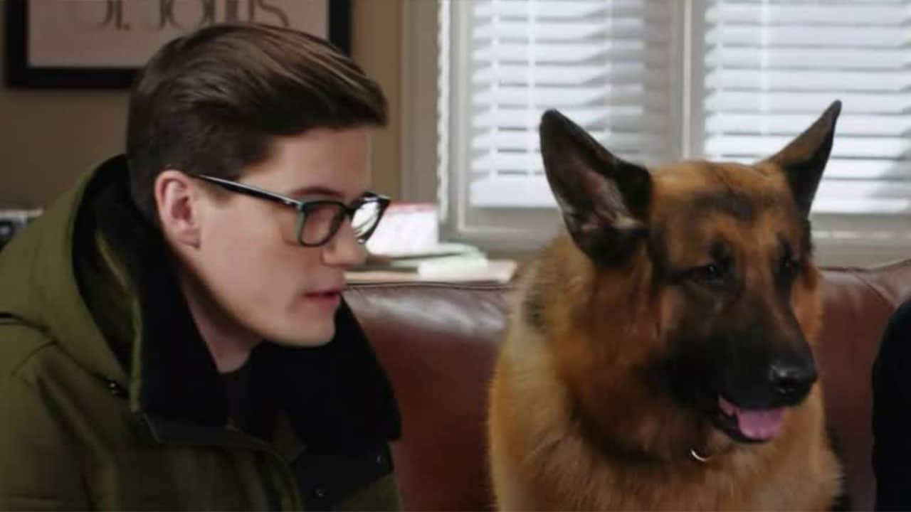 Hudson  Rex - S3E14 - La vita segreta di Levi