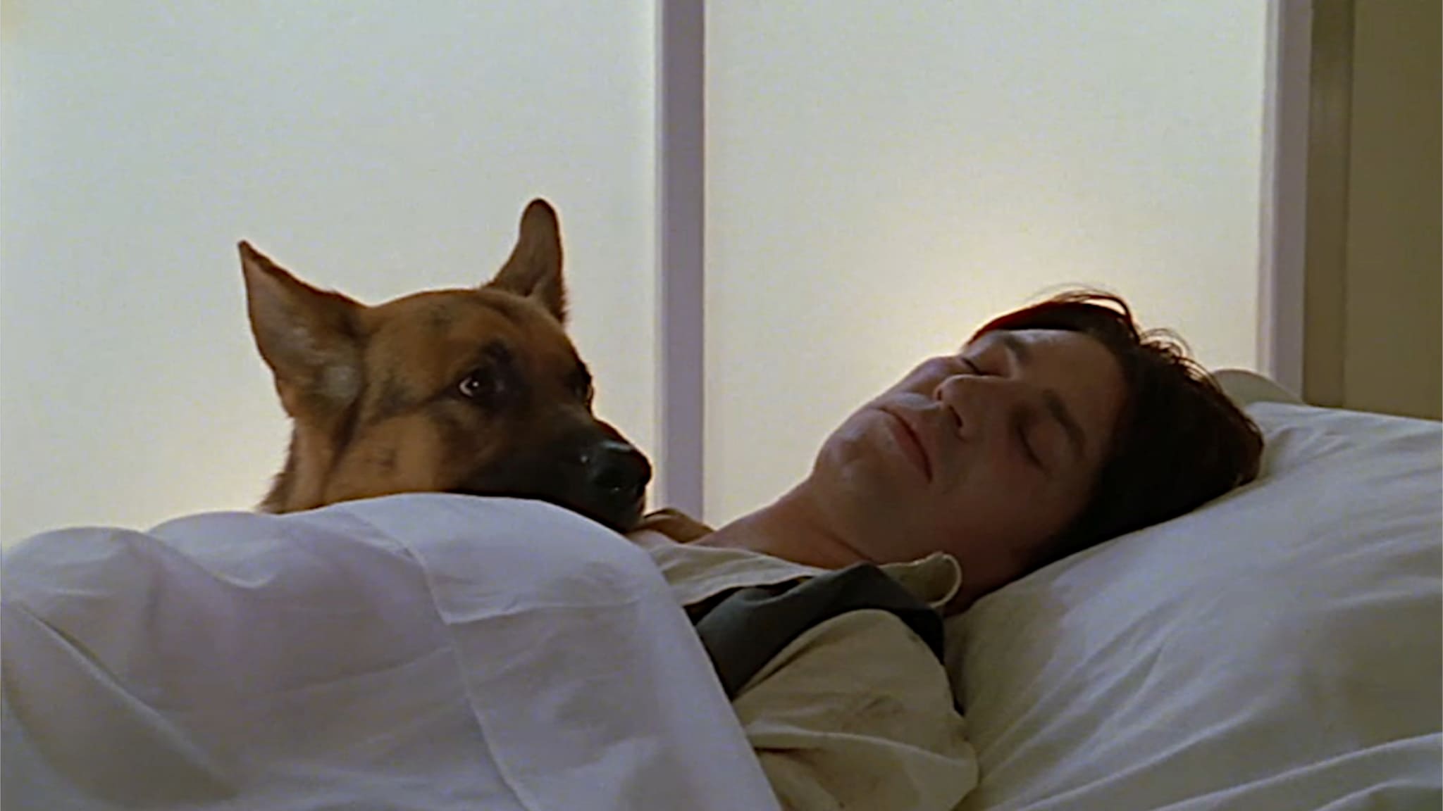 Il commissario Rex - S4E5 - L'ultima avventura - 2ª Parte