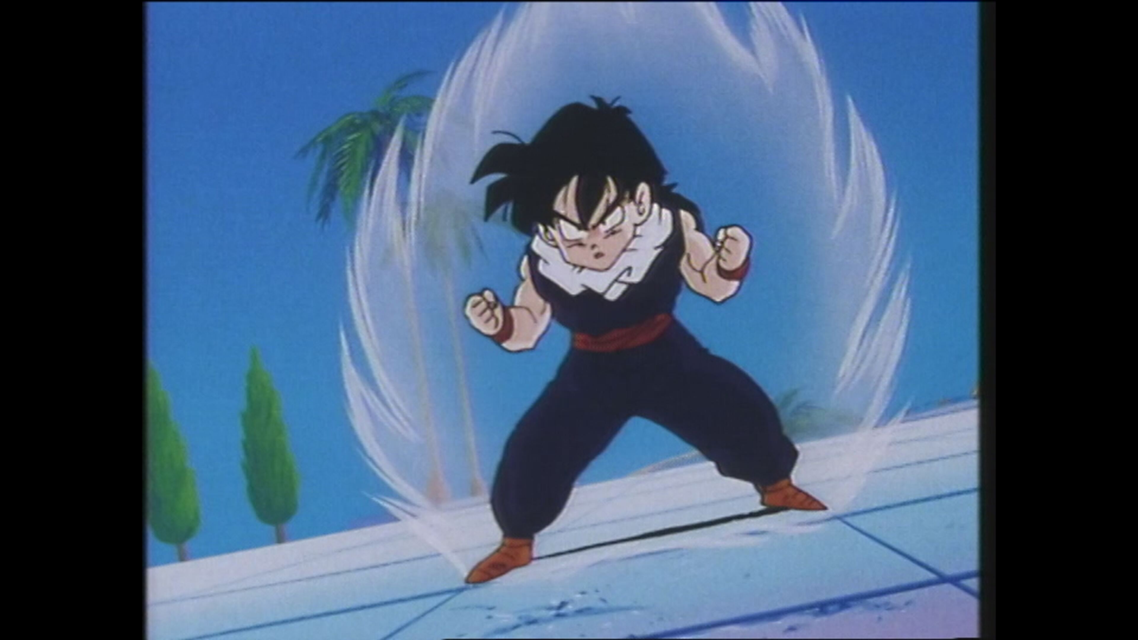 What's My Destiny Dragon Ball - S1 Ep111 Gohan contro i quattro re