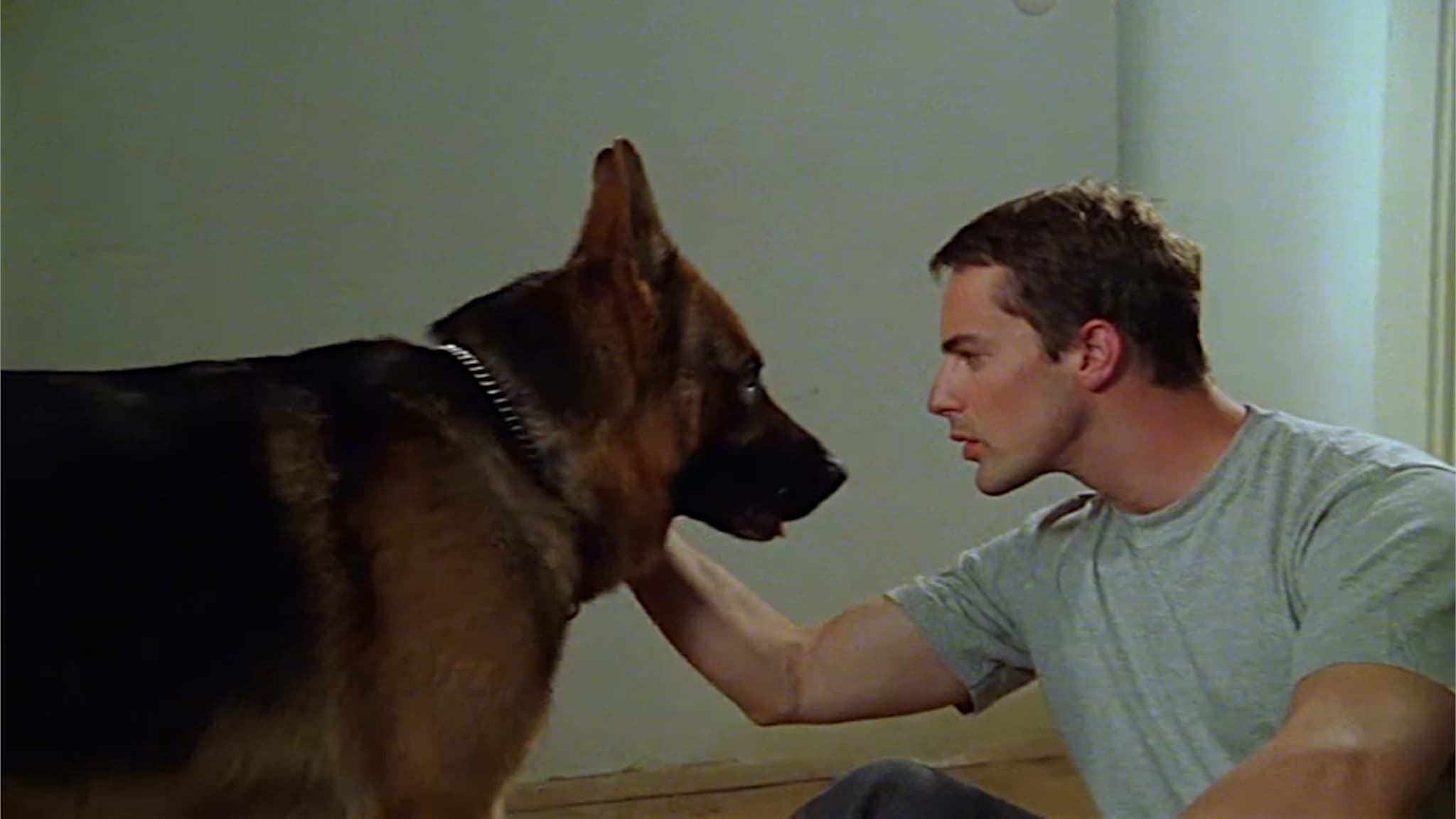 Il commissario Rex - S4E6  - ...E tutto ricomincia - 1ª Parte