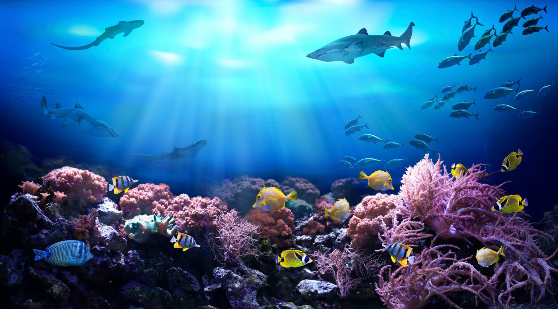 Oceani del sistema solare